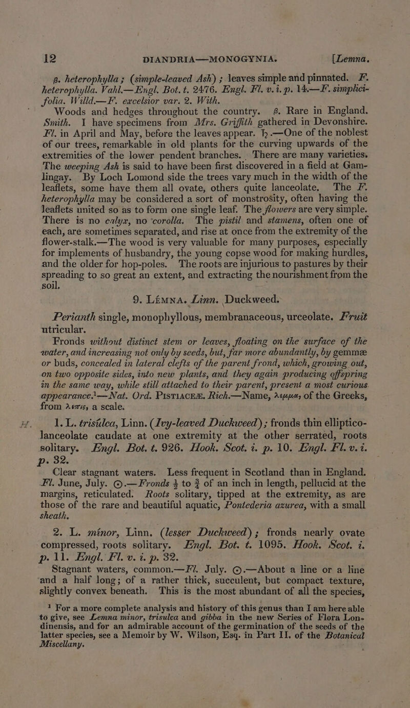 a. heterophylla; (simple-leaved Ash) ; leaves simple and pinnated. F. heterophylla. Vahl.— Engl. Bot. t. 2476. Engl. Fl. v.i. p. 14.—F. semphei- folia. Willd.—F. excelsior var. 2. With, Woods and hedges throughout the country. @ Rare in England. Smith. I have specimens from Mrs. Griffith gathered in Devonshire. Fl. in April and May, before the leaves appear. }h.—One of the noblest of our trees, remarkable in old plants for the curving upwards of the extremities of the lower pendent branches. There are many varieties. The weeping Ash is said to have been first discovered in a field at Gam- lingay. By Loch Lomond side the trees vary much in the width of the leaflets, some have them all ovate, others quite lanceolate. The F. heterophylla may be considered a sort of monstrosity, often having the leaflets united so as to form one single leaf. The lowers are very simple. There is no calyx, no ‘corolla. The pistil and stamens, often one of each, are sometimes separated, and rise at once from the extremity of the flower-stalk.—The wood is very valuable for many purposes, especially for implements of husbandry, the young copse wood for making hurdles, and the older for hop-poles. The roots are injurious to pastures by their sce to so great an extent, and extracting the nourishment from the soil, 9. Limna. Linn. Duckweed. Perianth single, monophyllous, membranaceous, urceolate. Fruit utricular. Fronds without distinct stem or leaves, floating on the surface of the water, and increasing not only by seeds, but, far more abundantly, by gemme or buds, concealed in lateral clefts of the parent frond, which, growing out, on two opposite sides, into new plants, and they again producing offspring an the same way, while still attached to their parent, present a most curious. appearance.\— Nat. Ord. PisT1ACER. Rich.—Name, a¢um«, of the Greeks, from Aszis, a scale. 1. L. trisilea, Linn. (Ivy-leaved Duckweed) ; fronds thin elliptico- lanceolate caudate at one extremity at the other serrated, roots solitary. Fingl. Bot. t. 926. Hook. Scot. 2. p. 10. Engl. Fl. v. i. Pp: 32. Clear stagnant waters. Less frequent in Scotland than in England. Fl. June, July. ©.—Fronds 4 to 2 of an inch in length, pellucid at the margins, reticulated. Roots solitary, tipped at the extremity, as are those of the rare and beautiful aquatic, Pontederia azurea, with a small sheath. . 2. L. minor, Linn. ‘(lesser Duckhweed) ; fronds nearly ovate compressed, roots solitary. Engl. Bot. t. 1095. Hook. Scot. 7. p11. Engl. Fl. v. i. p. 32. Stagnant waters, common.—FV.. July. ©.—About a line or a line ‘and a half long; of a rather thick, succulent, but compact texture, slightly convex beneath. This is the most abundant of all the species, 1 For a more complete analysis and history of this genus than Iam here able © to give, see Lemna minor, trisulca and gibba in the new Series of Flora Lon- dinensis, and for an admirable account of the germination of the seeds of the latter species, see a Memoir by W. Wilson, Esq. in Part II, of the Botanical Miscellany. :