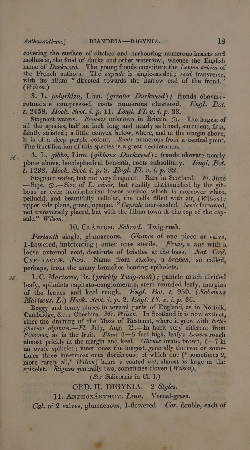 covering the surface of ditches and harbouring numerous insects and mollusce, the food of ducks and other waterfowl, whence the English name of Duckweed. The young fronds constitute the Lemna arhiza of the French authors. The capsue is single-seeded; seed transverse, with its hilum “ directed towards the narrow end of the frond.” ( Wilson.) . 3. L. polyrhiza, Linn. (greater Duckweed); fronds obovato- rotundate compressed, roots numerous clustered. Engl. Bot. t, 2458. Hook. Scot. i. p. 11. Engl. Fi. v. i. p. 33. Stagnant waters. Flowers unknown in Britain. ©.—The largest of all the species, half an inch long and nearly as broad, succulent, firm, faintly striated; a little convex below, where, and at the margin above, it is of a deep purple colour. Roofs numerous from a central point. The fructification of this species is a great desideratum. 4. L. gibba, Linn. (gibbous Duckweed) ; fronds obovate nearly plane above, hemispherical beneath, roots subsolitary. Hngl, Bot. t. 1233. Hook, Scot. i. p. 2. Engl. Fl. v. 2. p. 32. | Stagnant water, but not very frequent. Rare in Scotland. FF’. June —Sept. ©.—Size of L. minor, but readily distinguished by the gib- bous or even hemispherical lower surface, which is moreover white, pellucid, and beautifully cellular, the cells filled with air, (Wilson): upper side plane, green, opaque. “ Capsule four-seeded. Seeds furrowed, not transversely placed, but with the hilum towards the top of the cap- sule.” Wilson. 10. CLApium. Schrad. Twig-rush. Perianth single, glumaceous. Glumes of one piece or valve, 1-flowered, imbricating ; outer ones sterile. #7ruit, a nut with a loose external coat, destitute of bristles at the base.—Nat. Ord. CyPERACEm. Juss. Name from xaado;, a branch, so called, perhaps, from the many branches bearing spikelets. 1.C. Mariscus, Br. (prickly Twig-rush) ; panicle much divided leafy, spikelets capitato-conglomerate, stem rounded leafy, margins of the leaves and keel rough. Engl. Bot. t. 950. (Schenus Mariscus. L.) Hook. Scot, i. p. 2. Engl. Fl. v. t. p. 36. Boggy and fenny places in several parts of England, as in Norfolk, ‘Cambridge, &c.; Cheshire. Mr. Wilson. In Scotland it is now extinct, since the draining of the Moss of Restenat, where it grew with Erio- phorum alpinum.—Fl, July, Aug. 2{.—In habit very different from Schenus, as is the fruit. Plant 3—5 feet high, leafy: Leaves rough almost prickly at the margin and keel. Glumes ovate, brown, 6—7 in an ovate spikelet ; inner ones the longest, generally the two or some- times three innermost ones floriferous; of which one (“sometimes 2, more rarely all,” Wilson) bears a coated nut, almost as large as the spikelet. Stigmas generally two, sometimes cloven (Wilson). (See Salicornia in Cl. I.) ORD. II. DIGYNIA. 2 Styles. 11. AnrHoxANTHUM. Linn. Vernal-grass. . Cal. of 2 valves, glumaceous, 1-flowered. Cor. double, each of