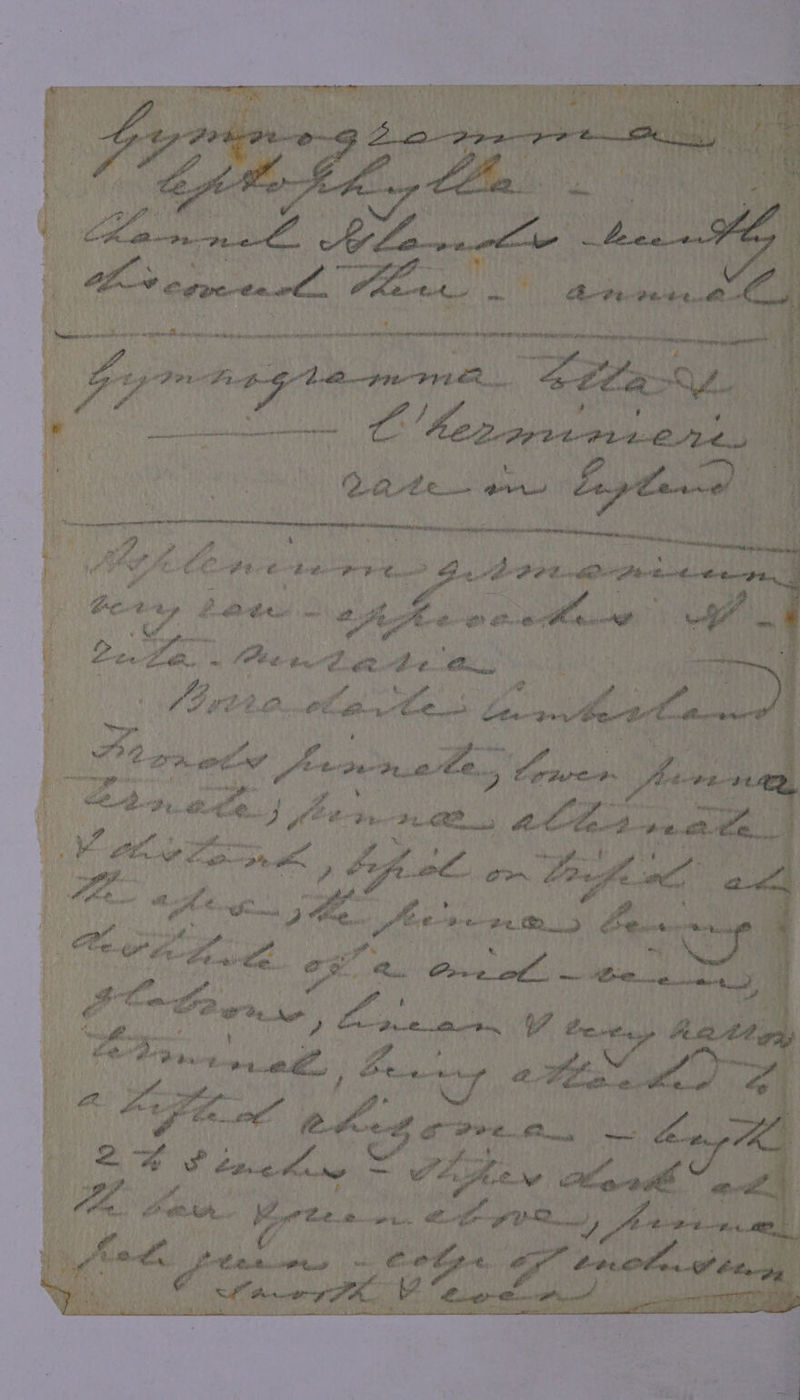 ; hcecrre naive on cgapienee Se ae natin ac ee eet Loa Pee PYAR... fe fia?) 4! AA He en ‘t iunigidacs ben Cite ‘j bade mt Ui), woe L Aoeews BNI Pa ys 2, WR BE NOT Bp Oe) et