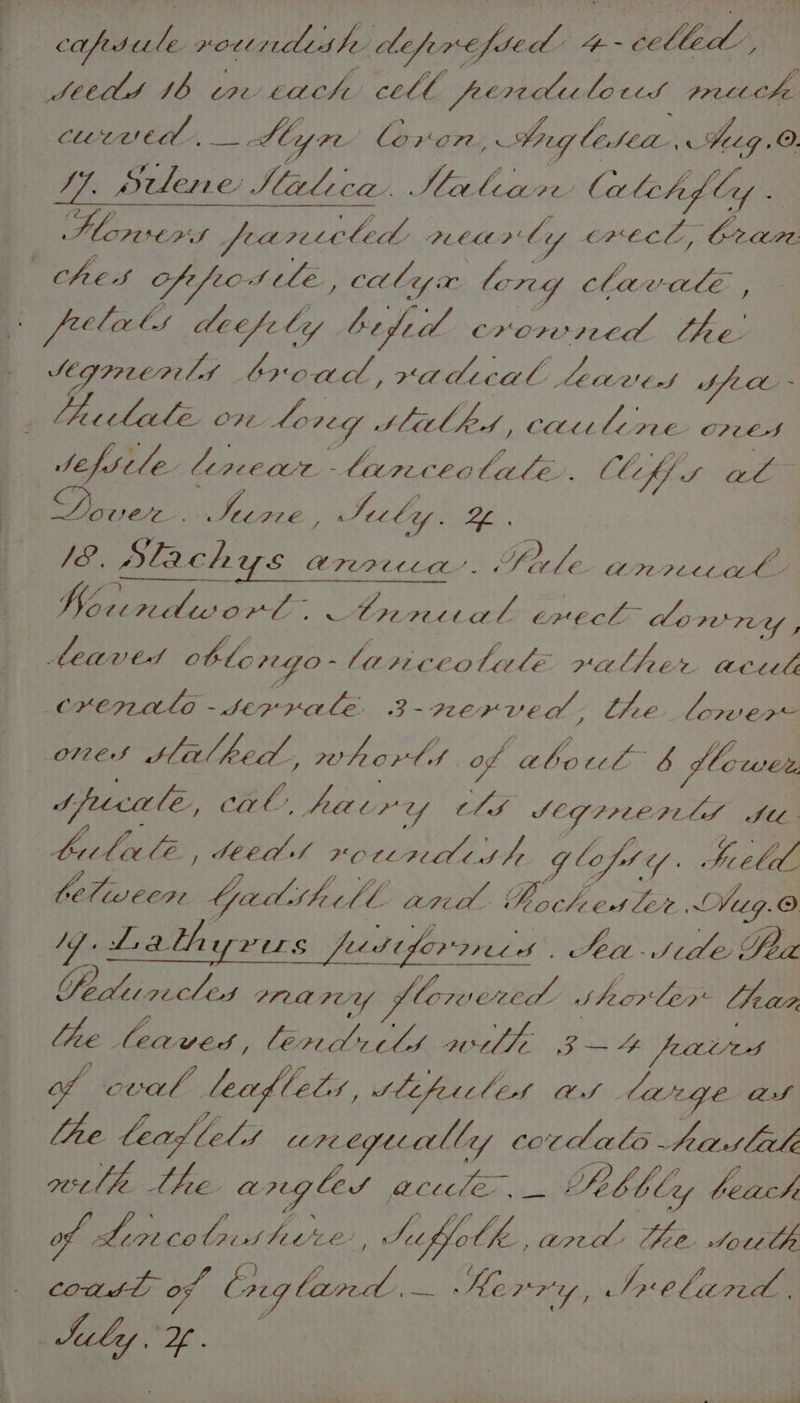 | capsule noetndishe defert fled -~ CE Med y Sead 1b cae Cache cele (i ferrite lottds prett.che, CLEC ed. tin Ly re lovorn / by CeSea- Seg .O ish lene Niele tai Mateo alehJ Cy 4 Eh ete EPS SfCAIPC cole Aeeat al y CFEC Z COLL. hes Sifiot Le wares ley x long Clawale : & [rela Cs decfe by bidet crore the. Yegrien ld 3 broad aA hical leteeds SSLOL ~ cedeale: on Lo 724 SeiAlhed » COON lerre CO? CES SefStle- Lereae s lareceatale. Ch ff S init 7 Rae: ee . Sicly. ae I. Slach US H7e7ttca’. Sf Dy fe arnretah/ Tee Peed. on rece crt erecl do UTLEY , Ceaved iy 2-gJo - a PECCO bale PA Peay. “aC crenale-seprale 3- PEEK VED - the lower OV7ES Sil ped , wh ord of abo ends b dlower Speciale, cal, ha yes UY CLS SEG PPE P2LS Itt. ; elit le, Seed f HO re7ead tt fy Glofs Y tell EO Dear WY hs fond MO es 2 Day Silber Neg. re) Mj Lathyrics Jedd OfEV 7006 tea Jstide Sea Cee ey PUA PCY, slew eed: S epee * Tas lhe a ; ae a LI H Me S—4 fears af coal lectd Cols, Si fete CES WS large Qf Lhe lead, NE, wrcegicult ley cord als paslele oeclhe. the aregles Bur neie ns La, beach of wae. colreus Fine Sfholh area Tee. totulh coasl of Oneg land, — Kerry, SIrelardt.