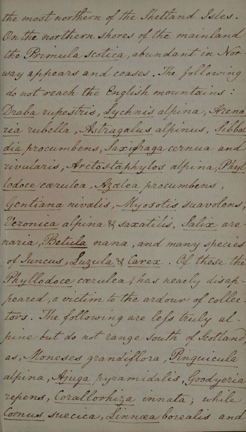 is pir eA Nihari gf Mae PILLAI M OF iatale x Vi pear herr ed ely of he ae coal Aaa Veo: Loz SSA Secbeca, bse itl ED Ak Shee aig FE AG: - fo fil Wty afefe Lead a2td Ceased , St prCCotst we ‘oe | , Fe ng NN ar Oxeg lin Uh ede lac geo Drala bcfeeslt4 oA Lychove! alper Pea? \ Prena wea vecbelt p ey ald at he: PLALd , Ser Chal | Ba fracieribend } Sax goaga Aa audeled ae ee rev ulaied, Srelotlaphs hy low atpe cra, Pe Stiegl Ldoce’ Leeete Le 2, Bale Ca _frotierbernd Y V beise ee) te Asgetits CS SUBWUOTEFIA, Lerorcen alpina &amp; Sorat, Alia are- nora ; Bolila PLAIPLA , are LIC Jee Lt ou z Sarecied , Legecle Wf larex., Gd! Chale. Lhe Lh llr aLoce ‘SN GSD Yhap pias fy Med afi, : | (jfeatedk, a NS rape} te the ardour of cot lee ‘ ee Lie gallows 29 are lefd Lily wet aie, Pe Ole: VA tal Ld20g e tabi a tal lo, a ad, Ao. FEO Crt ee Lia Ph GD  Rp ee | 7 ~ Pee NET: ST? Alfipna : Se 9a. fryrarees OAD oe Good Chen. si rei locallorhees a eanala ; ttle, Prete St12C41c2, Ler r cea a Mi Roe
