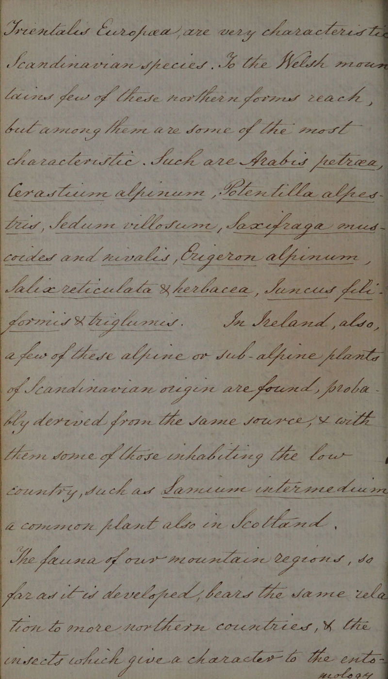 bvapintes Cccrofuca/ ave tery ambit el abs. aihrravia tye eG tee) Male a8 Veet wa! A eg porller re fovired seach. if : ba Mee APOPE GY oe. ete. SoF 7 CL Sf fee, endo ae Haracleriliic . Such ave babes ee. SAR SMBS Pt Pa Lees, Ue neeea e Sac eloaga rreced Leta azed pcviUeles , Ceeg Lae ith ctor af crecers | Ale tetiatcl lela x ferbacea, Jao ecud, fel octet UEcAcaen Ae Seland, alto, *e BL. f there abi (fierce on te of Manadinaviar oe steer a0e sound frele 4 Wy iy direved. franc Ce CE SABHA SOPH CE 5 SX tcl ere POPZCE- op haze LB: habilereg Lee fale q Lousy, Juch ad La eect CAL Lekman een a comesrern. flank ia SO CFC el tte ioe HLtatae Ki Est e eeeas regeere, so gle ted Po ve oe, iy jpedl beara yew SAIACC. zeke PN pcs ve AGE Be Neca eae ae eee eee coteech pivet A arate? lo Iie, eta : ay Ane e