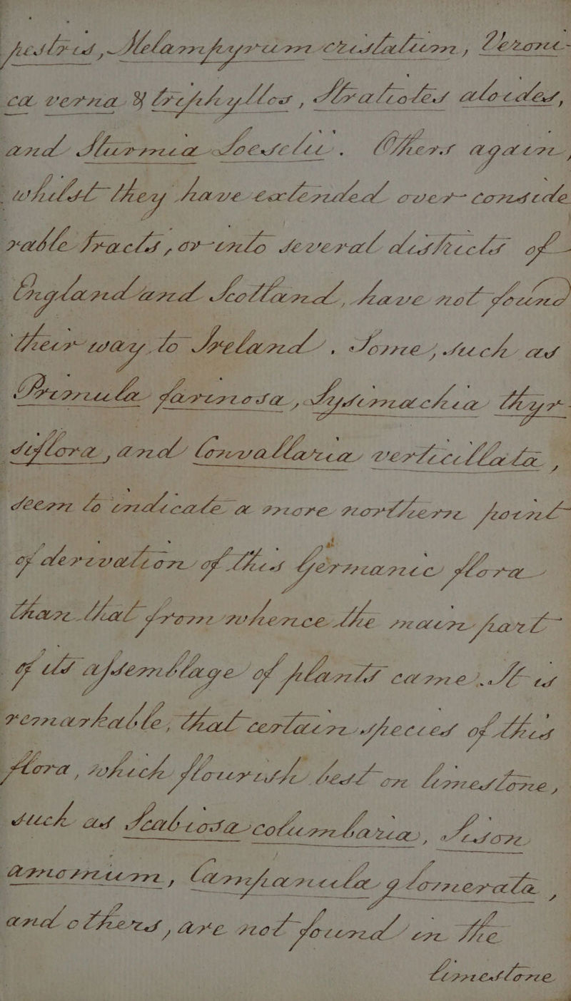 fe ly aN te Mlolarre Aa pee eer f ae braree- we 9 Sas pe) ae ogre. LL DB: ley is Lad lepetled coer coredede oable. Iracls, ee eee Ae of . Oglaod red hollamd: Sin baie, | ecw way, to ite bpelyredl’ , sid O77 CE yee ers erg AS | Derule feresta, tye Lijterreachea “tye | flere, gee loxvallaeca wertecllala ) | eee fae: ee n> ea orore northern frarpele g yderevalior off VLE, | Germanes eee a ae har. ae Tore ee a oe ieee etee ‘ cA Oe, afternblage of, [lar lt care. £ ye: remarkable, 22 sg aa vy evo, {ghey Alera, Le ch flaurethe Sagal domed le OPZE. tuck Af 1 ee LOW, Liab eota cole est CMS CPPEW ALLA), apron, barr LQ ha hac Lap tomenal a ae ———— Se and elfen, OME. eal found LPL re EOI fie, : | a