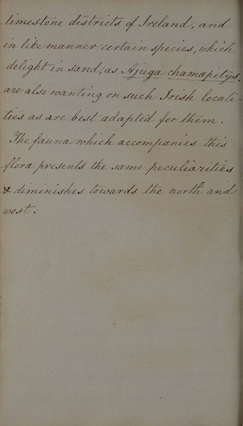 { Limedtlae rie er Sa of. Soe es yy Fe sg S77 ae Ze. ? UAMRA-CEPLE LI dpeecled, pe ee. 1 (Bega a hameafe lpn a dels (ght in L7t Stree Bagh ee ate a0 ali 71a lineg OP t- eee: WAEOT4 Ao Led ast are betl tt adafpele (C2 ( por Lh e77e . GS Ze. sti PLlt Ps OB Dy — eid Pee hs CSE nl ISLPPACE BE ‘bE bes CPPLEE. anes Cd bewardd ee » se a wes |