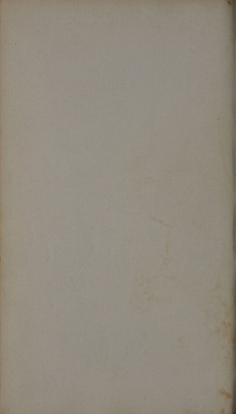 ‘ tim« no i i ‘ay Wai? 4 Oe Fy ae es