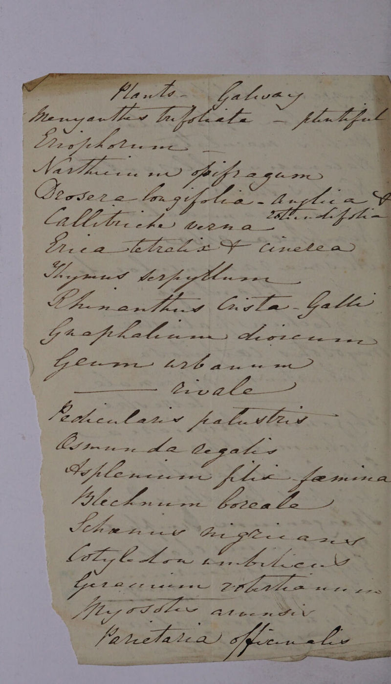 ae 4 | Lee ess 5 fe rete aD omued ne eae AS gs : i SO AY PTGS EO Ga 2 a iene ee ey 2 SS Zee gee? ba ark Cet halo¥ MSGR EIA GM 5 SOS SAY Jie Smee we ths £2. 2< t” Er aepy ‘ge te Pa : c [Tes Ci ic ee os reese as Ae BOLO es :