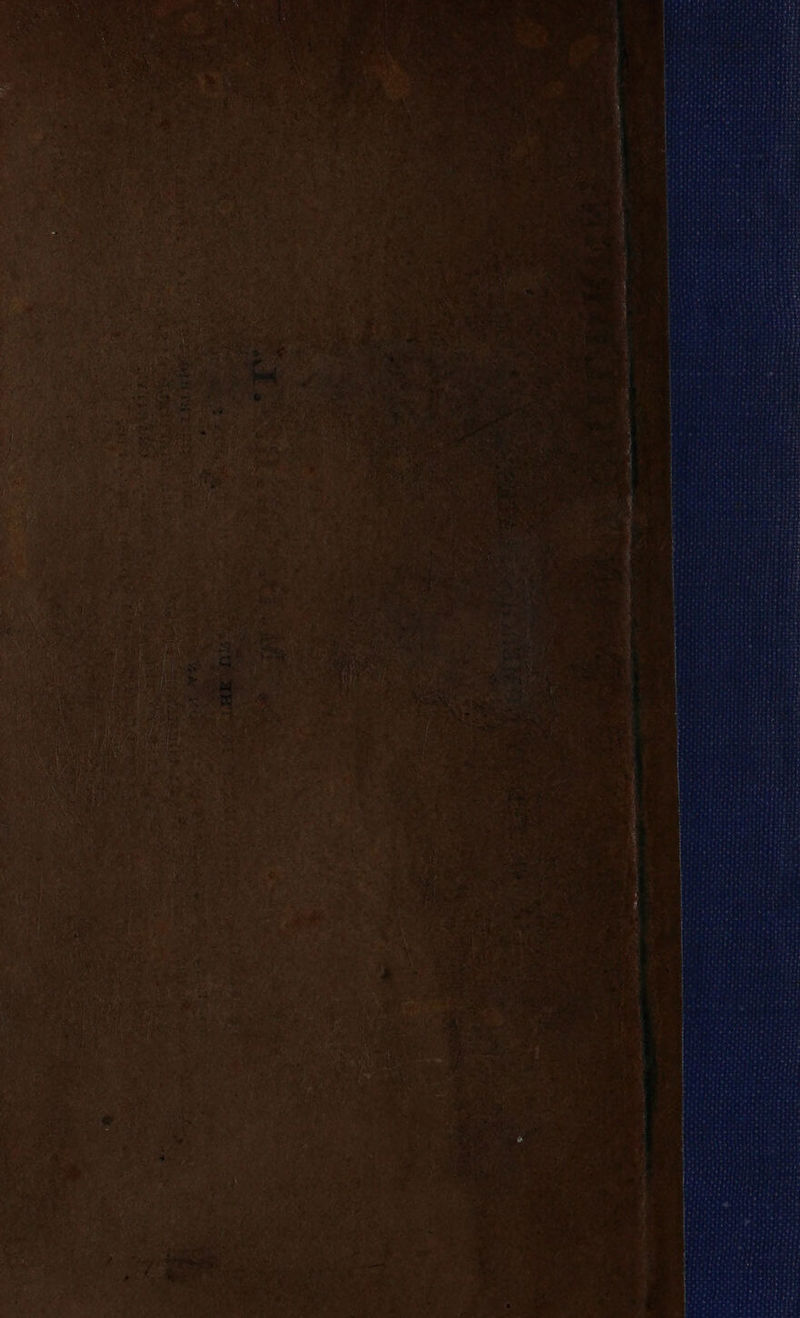 oo re sa weMtae ARPT “garantie? ee re somes j r . enemas ‘i saute aig OEE, ee « y a nq