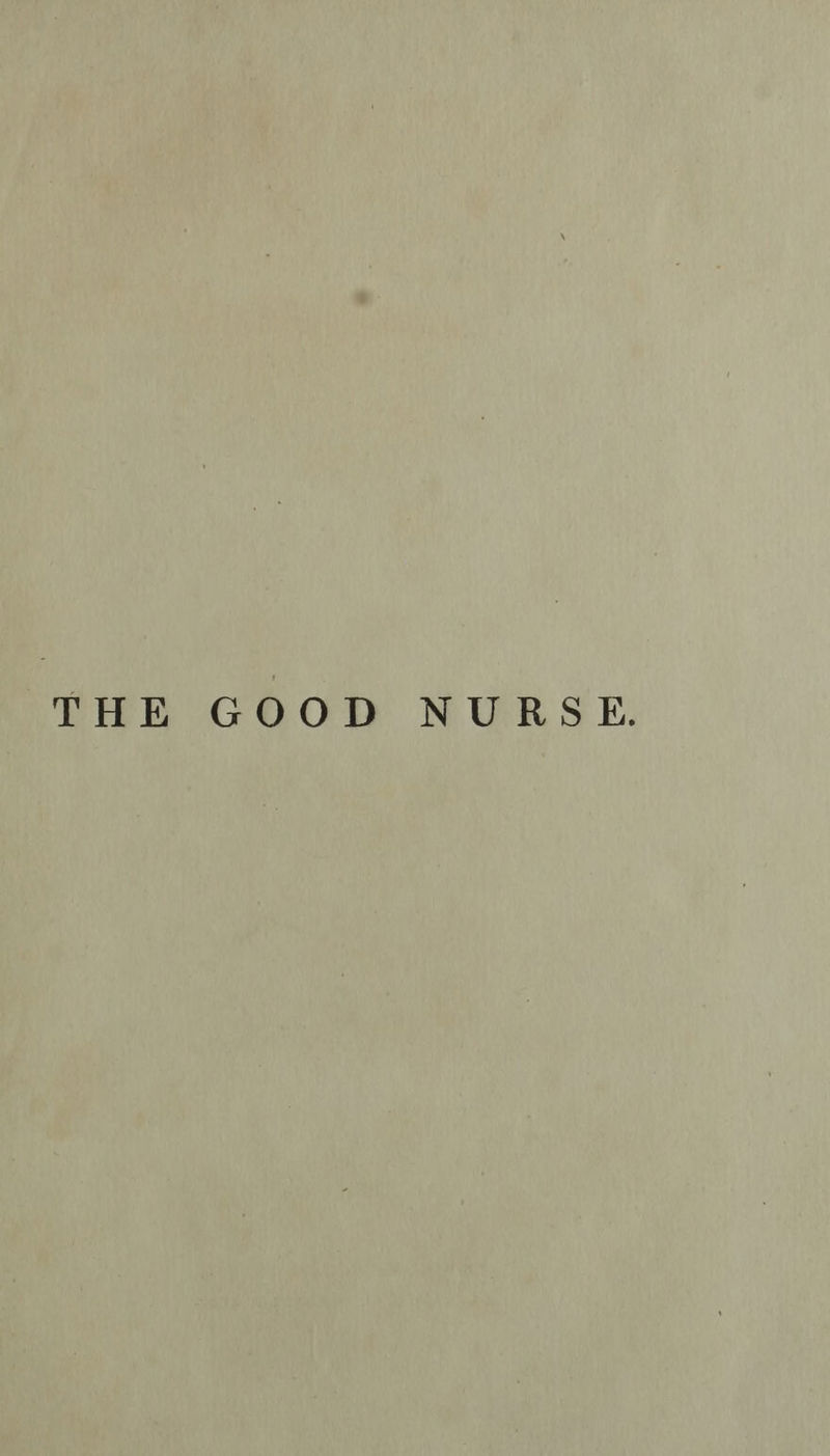 THE GOOD NURSE.