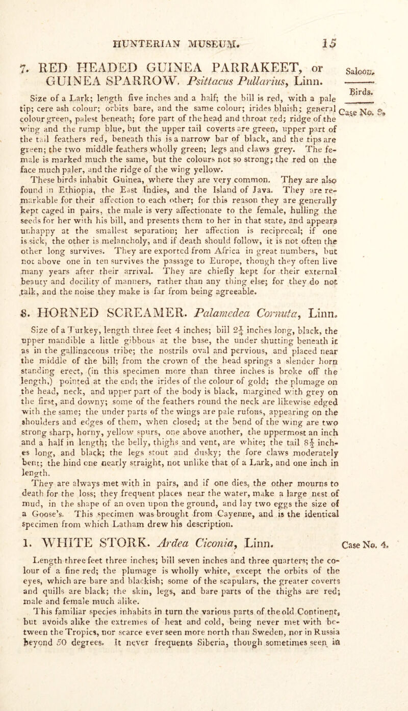 1. RED HEADED GUINEA PARRAKEET, or GUINEA SPARROW. Psittacus Pullarius, Linn. Size of a Lark; length five inches and a half; the bill is red, with a pale tip; cere ash colour; orbits bare, and the same colour; irides bluish; general £a^e eg colour green, palest beneath; fore part of the head and throat red; ridge of the wing and the rump blue, but the upper tail coverts are green, upper part of the tail feathers red, beneath this is a narrow bar of black, and the tips are green; the two middle feathers wholly green; legs and claws grey. The fe- male is marked much the same, but the colours not so strong; the red on the face much paler, and the ridge of the wing yellow. These birds inhabit Guinea, where they are very common. They are also found in Ethiopia, the East Indies, and the Island of Java. They are re- markable for their affection to each other; for this reason they are generally kept caged in pairs, the male is very affectionate to the female, hulling the seeds for her with Ids bill, and presents them to her in that state, and appears unhappy at the smallest separation; her affection is reciprocal; if one is sick, the other is melancholy, and if death should follow, it is not often the other long survives. They are exported from Africa in great numbers, hut not above one in ten survives the passage to Europe, though they often live many years after their arrival. They are chiefly kept for their external beauty and docility of manners, rather than any thing else; for they do not talk, and the noise they make is far from being agreeable. &. HORNED SCREAMER. Palamcdea Cor nut a, Linn., Size of a Turkey, length three feet 4 inches; bill 2^ inches long, black, the upper mandible a little gibbous at the base, the under shutting beneath it as in the gallinaceous tribe; the nostrils oval and pervious, and placed near the middle of the bill; from the crown of the head springs a slender horn standing erect, (in this specimen more than three inches is broke off the length,) pointed at the end; the irides of the colour of gold; the plumage on the head, neck, and upper part of the body is black, margined with grey on the first, and downy; some of the feathers round the neck are likewise edged with the same; the under parts ef the wings are pale rufous, appearing on the shoulders and edges of them, when closed; at the bend of the wing are two strong sharp, horny, yellow spurs, one above another, the uppermost an inch and a half in length; the belly, thighs and vent, are white; the tail inch- es long, and black; the legs stout and dusky; the fore claws moderately bent; the hind one nearly straight, not unlike that of a Lark, and one inch in length. They are always met with in pairs, and if one dies, the other mourns to death for the loss; they frequent places near the water, make a large nest of mud, in the shape of an oven upon the ground, and lay two eggs the size of a Goose’s. This specimen was brought from Cayenne, and is the identical specimen from which Latham drew his description. 1. WHITE STORK. Ardea Ciconia, Linn. Case No. 4, Length three feet three inches; bill seven inches and three quarters; the co- lour of a fine red; the plumage is wholly white, except the orbits of the eyes, which are bare and blackish; some of the scapulars, the greater coverts and quills are black; the skin, legs, and bare parts of the thighs are reel; male and female much alike. This familiar species inhabits in turn the various parts of the old Continent, but avoids alike the extremes of heat and cold, being never met with be- tween the Tropics, nor scarce ever seen more north than Sweden, nor in Russia beyond 50 degrees. It never frequents Siberia, though sometimes seen ia Saiooi>. Birds.