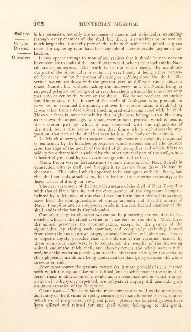 ©allery. rSmi ■ III nil «n ———» Concho! Division. Univalves. in his possession, not only the existence of a continued siphunculus, extending' through every chamber of the shell, but that it is sometimes to be seen so much larger than the shelly part of the tube with which it is joined, as gives reason for suppos.ng it to have been capable of a considerable degree of di- latation. It may appear strange to most of our readers that it should be necessary te> have recourse to shells of the antediluvian world, when recent shells of the Nau- tili are so numerous. The truth is, in the recent shells, the membran- ous part of the siphunculus is seldom if ever found, it being either remov- ed by decay, or by the process of Slitting or rubbing down the shell. The writer has rubbed down with the greatest care at different times, above a dozen Nautili, but without making the discovery; and the Nautili being as supposed pelagian, or living out at sea, their shells without the animal are only met with driven by the waves on the shore. We do not recollect any author but Rhumphius, in his history of the shells of Amboy na, who. pretends to hrve seen or examined the animal, and even his representation is doubt’ul as it was taken from a dead animal, much injured and unconnected with the shell. However there is some probability this might have belonged to a N .utilus, as it shews the appendage, a round membranous process, which is seen in the posterior part by which it was connected with the siphunculus of the shell; but it also seems to bear that figure which authorizes the sup- position, that part of the shell has been let into the body of the. animal. La Ma ck observes, that this partial envelopement of the shell by the animal is confirmed by the blanched appearance which extends some little distance from the edge of the mouth of the shell of N. Pompilius, and which differs so widely from that which is yielded by the other external part of the shell, which is beautifully m irked by transverse orange-coloured stripes. Mons. Peron was so fortunate as to obtain the animal of Naut. Spirula in connection with its shell, and brought it to France from New Holland in that state. This anim :1 which appeared to be analogous with the Sepia, had the shell not only attached to, but so let into its posterior extremity, as to leave a part of it only in view The near agreement of the internal structure of the shell of Naut. Pompilius with that of Naut. Spirula, and the circumstance of the Argonauta being in- habited by a Molusca of this class, leave hut little doubt that all these shells have been the solid appendages of similar animals; and that the animal of Naut. Pompilius and its congeners, reside in the last formed chamber of the shell, and is of the family Cephalopodes. One other singular character we cannot help noticing ere we dismiss this article, which is the closed cavities or chambers of the shell. With these the animal preserves no communication, except for the passage of the siphunculus, by closing each chamber, and completely excluding himself from them; thus as he grows larger, he forms himself new habitations. Hence it appears highly probable tha,t the only use of the vacuities formed by these numerous chambers, is to counteract the weight of the increasing animal, and of the thick shell; and thereby render the whole as nearly the weight of the water as possible, so that the difference arising by the action of the siphuncular membrane being contracted or dilated, may occasion the whole to swim or sink. From what source the gaseous matter (as it most probably is,) is derived with which the siphuncular tube is filled, and in what manner the animal ef- fected those modifications of the tube and its contained air, on which the va- riation of its buoyancy depended, are subjects of inquiry still demanding the assiduous attention of the Naturalist. Genus Conus.—This is by far the most numerous as well as the most beatt- ful family of the division of shells, consisting of many hundred species, some of which are of the greatest rarity and price. Above one hundred guineas have been offered and refused for one shell alone, belonging to this genus.