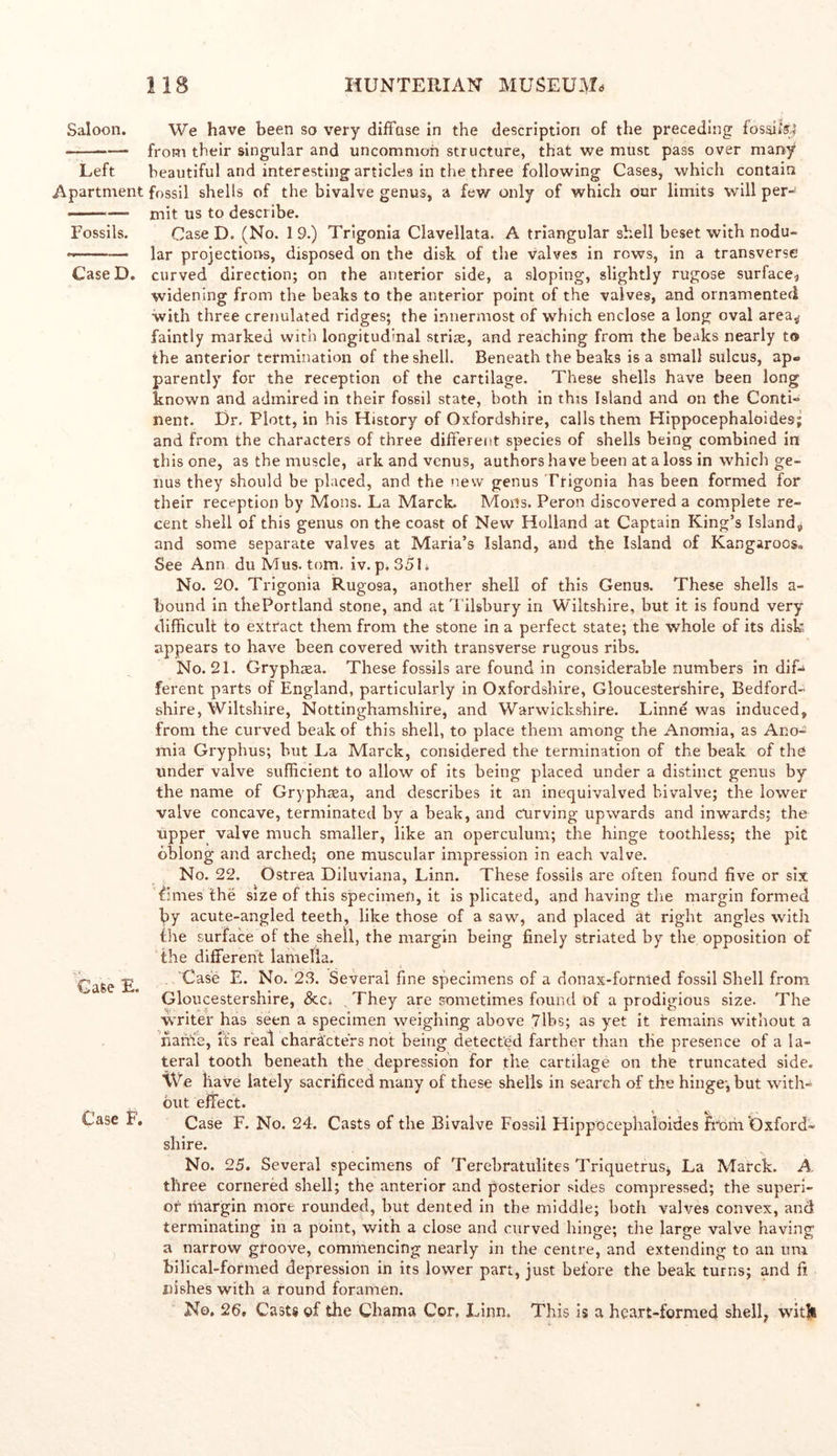 Saloon. We have been so very diffuse in the description of the preceding fosaifej ■ from their singular and uncommon structure, that we must pass over many Left beautiful and interesting articles in the three following Cases, which contain Apartment fossil shells of the bivalve genus, a few only of which our limits will per- • • mit us to describe. Fossils. Case D. (No. 1 9.) Trigonia Clavellata. A triangular shell beset with nodu- -——— lar projections, disposed on the disk of the valves in rows, in a transverse CaseD. curved direction; on the anterior side, a sloping, slightly rugose surface? widening from the beaks to the anterior point of the valves, and ornamented with three crenulated ridges; the innermost of which enclose a long oval area* faintly marked with longitudinal stride, and reaching from the beaks nearly to the anterior termination of the shell. Beneath the beaks is a small sulcus, ap- parently for the reception of the cartilage. These shells have been long known and admired in their fossil state, both in this Island and on the Conti- nent. Dr. Plott, in his History of Oxfordshire, calls them Hippocephaloides; and from the characters of three different species of shells being combined in this one, as the muscle, ark and venus, authors have been at a loss in which ge- nus they should be placed, and the new genus Trigonia has been formed for their reception by Mons. La Marck. Moils. Peron discovered a complete re- cent shell of this genus on the coast of New Holland at Captain King’s Island, and some separate valves at Maria’s Island, and the Island of Kangaroos,. See Ann duMus. tom. iv. p. 3511 No. 20. Trigonia Rugosa, another shell of this Genus. These shells a- bound in thePortland stone, and at Tilsbury in Wiltshire, but it is found very difficult to extract them from the stone in a perfect state; the whole of its disk appears to have been covered with transverse rugous ribs. No. 21. Gryphrea. These fossils are found in considerable numbers in dif- ferent parts of England, particularly in Oxfordshire, Gloucestershire, Bedford- shire, Wiltshire, Nottinghamshire, and Warwickshire. Linne was induced, from the curved beak of this shell, to place them among the Anomia, as Ano- mia Gryphus; but La Marck, considered the termination of the beak of the under valve sufficient to allow of its being placed under a distinct genus by the name of Gryphaea, and describes it an inequivalved bivalve; the lower valve concave, terminated by a beak, and curving upwards and inwards; the upper valve much smaller, like an operculum; the hinge toothless; the pit oblong and arched; one muscular impression in each valve. No. 22. Ostrea Diluviana, Linn. These fossils are often found five or six fimes the size of this specimen, it is plicated, and having the margin formed by acute-angled teeth, like those of a saw, and placed at right angles with the surface of the shell, the margin being finely striated by the opposition of the different lamella. Case £. No. 23. Several fine specimens of a donax-formed fossil Shell from Gloucestershire, &c; They are sometimes found of a prodigious size. The writer has seen a specimen weighing above 7lbs; as yet it remains without a name, it's real characters not being detected farther than die presence of a la- teral tooth beneath the depression for the cartilage on the truncated side. We haVe lately sacrificed many of these shells in search of the hinge, but with- out effect. Case F. No. 24. Casts of the Bivalve Fossil Hippocephaloides ftforh Oxford- shire. No. 25. Several specimens of Terebratulites Triquetrus* La Marck. A. three cornered shell; the anterior and posterior sides compressed; the superi- or margin more rounded, but dented in the middle; both valves convex, and terminating in a point, with a close and curved hinge; the large valve having a narrow groove, commencing nearly in the centre, and extending to an um bilical-formed depression in its lower part, just before the beak turns; and fi nishes with a round foramen. No. 26, Casts of the Chama Cor, Linn. This is a heart-formed shell, witk 'Case E. Case F.