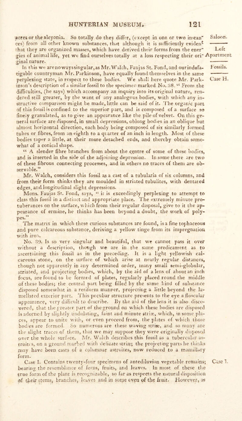 woreeor the alcyonia. So totally do they differ, (except in one or two instan” Saloon. ces) from all other known substances, that although it is sufficiently evident — that they are organized masses, which have derived their forms from the ener” Left gies of animal life, yet we find ourselves totally at a loss respecting their ori Apartment ginal nature, In this we arenowayssingu!ar,as Mr. Walch, Faujas St. Fond, and ourindefa- Fossils. tigable countryman Mr. Parkinson, have equally found themselves in the same — perplexing state, in respect to these bodies. We shall here quote Mr. Park- Case H, inson’s description of a similar fossil to the specimen marked No. 38. u From the difficulties, (he says) which accompany an inquiry into its original nature, ren- dered still greater, by the want of any analogous bodies, with which any in- structive comparison might be made, little can be said of it. The organic part of this fossil is confined to the superior part, and is composed of a surface so finely granulated, as to give an appearance like the pile of velvet. On this ge- neral surface are disposed, in small depressions, oblong bodies in an oblique but almost horizontal direction, each body being composed of six similarly formed tubes or fibres, from an eighth to a quarter of an inch in length. Most of these bodies taper a little, at their more detached ends, and thereby obtain some- what of a conical shape. “ A slender fibre branches from about the centre of some of these bodies, and is inserted in the side of the adjoining depression. In some there are two of these fibrous connecting processes, and in others no traces of them are ob- servable.5> Mr. Walch, considers this fossil as a cast of a tubularia of six columns, and from their form thinks they are moulded in striated tubulites, with dentated edges, and longitudinal slight depressions. Mons. Faujas St. Fond, says, “ ir is exceedingly perplexing to attempt to class this fossil in a distinct and appropriate place. The extremely minute pro- tuberances on the surface, which from their regular disposal, give to it the ap- pearance of ermine, he thinks has been beyond a doubt, the work of poly- pes. The matrix in which these curious substances are found, is a fine tophaceous and pure calcareous substance, deriving a yellow tinge from its impregnation with iron. No. 39. Is so very singular and beautiful, that we cannot pass it over without a description, though we are in the same predicament as to ascertaining this fossil as in the preceding. It is a light yellowish cal- careous stone, on the surface of which arise at nearly regular distances, though not apparently in any determined order, many small semi-globular, striated, and projecting bodies, which, by the aid of a lens of about an inch focus, are found to be formed of plates, regularly placed round the middle of these bodies; the central part being filled by the same kind of substance disposed somewhat in a retiform manner, projecting a little beyond the la- meliated exterior part. This peculiar structure presents to the eye a floscular appearance, very difficult to describe. By the aid of the lens it is also disco- vered, that the greater part of the ground on which these bodies are disposed is adorned by slightly undulating, faint and minute striae, which, in some pla- ces, appear to unite with, or even proceed from, the plates of which those bodies are formed. So numerous are these waving strise, and so many are the slight traces of them, that we may suppose they were originally disposed pver the whole surface. Mr. Walch describes this fossil as a tubercular as- troitcs, on a ground marked with delicate striae; the projecting parts he thinks may have been casts of a columnar astroites, now reduced to a mamillary form. Case I. Contains twenty-four specimens of antediluvian vegetable remains; Cc.se 1, bearing the resemblance of ferns, fruits, and leaves. In most of these the true form of the plant is recognizable, so far as respects the natural disposition of their stems, branches, leaves and in some even of the fruit. However, as