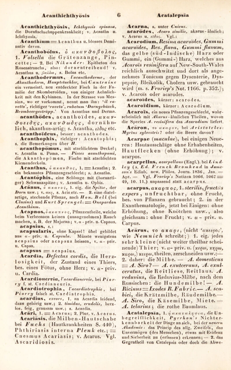Acanthichthyosis, Ichthyosis spinosa, die Dornfischschuppenkrankheit; v. Acantlia «. Ichthyosis. Acantliium = A c a n t ii u s «. blosses Demi- nutiv davon. Acanthobolus, 6 uuctv&oßoXog, 1. Volsella die Grätenzange, Pin- cette;— 2. Bei IS ik an der: Epitheton des Rosenstrauchs, also: dornentreibend! v. Acanthus u. ßaXXo), s. Bolus etc. Acanthodermus , V acanthoderme % der Akanthoderm, Hauptstachler, bei Cantraine ein vermeintl. neu entdeckter Fisch in der Fa- milie der Skomberoiden, von einiger Aehnlich- keit mit den Ky binnen. ln der Strasse von Mes- sina, wo er vorkommt, nennt man ihn: til ro- vettorichtiger <roveto\ rubelum ‘Dorngebüsch, Brombeergestrüpp.’ Von Acanthus und Derma. acanthödes , a c a n t h o i d e s, axar- ‘3'oeid'rjgy cntavdwdrjQ, dorn ähn- lich, akanthus-artig; s. Acantlia, tidog etc. acanthoideus, besser : acanthödes. Acanthophis, richtiger: Acantophis; s. die Bemerkungen über II. acanthopömus, mit stachlichtem Deckel; v. Acantlia u. Poma. -— Pisces acanthopomi, die Akanthopümen, Fische mit stachlichten Kiemendeckeln. Acanthus, ouxuvd-oqy l.= Acantlia; 2. ein bekanntes Pflanzengeschlecht; s. Acantlia. Acantophis, eine Schlange mit (hornarti- ger) Schwanzspitze; v. Acantlia u. Ophis. Acanus, o uxuvoq, 1. eig. die Spitze, der Bo rn usw.; v. s. Acis etc.— 2. eine distel- artige, stechende Pflanze, nach Hon. Bell (bei Clusius) und Kurt Sprengel: ~— Onopordon Acantliium. Acapnos, o «x utiv o qy Pflanzentheile, welche beim Verbrennen keinen (unangenehmen) Rauch machen, z. B. der Majoran; v.«-priv. u. Capnos. acapsius, s.: acapsularis, ohne Kapsel! übel gebildet aus u- priv. u. Capsula. Müsste wenigstens acapsius oder acapsus heissen, v. «- priv. u. Capsa. acapsus = acapsius. Acardia, Defectus covdis, die Herz- losigkeit, der Zustand eines Thiers, bes. eines Fötus, ohne Herz; v. «-priv. u. Cardia. Acardionerri«, Vacardionervie, bei Pior- ry f. st. Cardia ii euria. Acardiotrophia , Vacardiotrophie , bei Piorry falsch st. Ca r d i a t r o p hi a. acardius, exeors, 1. an Acardia leidend, dazu gehörig usw.; 2. timidus, crudelis, herz- los, feig, grausam usw.; s. Acardia. Acari, 1. == Acarus; 2. Plur. v. A ca r u s. Acariäsis, die Mi 1 be n -Ha u t s c ha be bei Fuchs (Hautkrankheiten S. 440), Phthiriasis interna Plenk etc.;  Cnesmus Acariasis; v. Acarus. Vgl. Ascaridiosis. Acarna, s. unter Cnieus. acarodes , Acaro similis, nkarus - ähnlich ; v. Acarus u. iidoq. Vgl.: Acarodium, Resina acciroides, Gummi acaroides, Res. Jlava, Gummi Jlavum, das gelbe (süd-indische) Harz oder Gummi, ein (Gummi-) Harz, weichesaus Acarois resinifera auf New-South-Wales reichlich ausschwitzt und dort als ange- nehmes Tonicum gegen Dysenterie, Dys- pepsie, Bleikolik, Cholera usw. gebraucht wird (m. s. Froriepys Not. 1166. p. 352.); v. Acarois oder acarodes. acaroides, kürzer: acarodes. Acaroidium, kürzer: Acarodium. Acarois, ein neues Pflanzengeschlecht, wahr- scheinlich mit Akarus- ähnlichen Theilen, wovon die Species A. resinifera das Acarodium liefert. Acärou , To a x u (> o v, bei Aristoteles: Myrtus sylvestris? oder die Beere davon? Acarpae (maculae), bei einigen Neue- ren : Hautausschläge ohne Erhabenheiten, Haut flecken (ohne Erhöhung); v. acarpos. acarpellus, acarpellous (Engl.), bei L i n d- ley ( s. jE' d. P r en ch Br omh e a d in J ame- son’s Edinbi new. Philos. Journ. 1836, Jan. — Apr. — Vgl. Froriep's Notizen 1066. 1067 = 49, 10. 11.) unpassend statt acarpus. acarpus, anagn o1. sterilisrfruetüs expers , unfruchtbar, ohne Frucht, bes. von Pilanzen gebraucht; 2. in der Exanthematologie, jetzt bei Einigen: ohue Erhöhung, ohne Knötchen usw., also gleichsam: ohue Frucht; v. « - priv. u. Carpus. Acarus, <io etttugt, (nicht ^ax&too^, wie Nemnich schreibt;) 1. eig. jedes sehr kleine (nicht weiter theilbar schei- nende) Thier; v. a- priv. u. (xsgw, y.rjgto, xctQOJ,) xetgw, theilen, zerschneiden usw.;— 2. daher: die Milbe. — A. domesticus zzzA.Siro?— A. exutcerans, A. exul- ceratus, die Reitliese, Reitlaus. A. reduvius, die Reduvius-Milbe, nachdem Russischen : die Hunde milbe! — A. Ricinus zu Ixodes R. Fahr ic.— A. sen- hiei, die Krätzmilbe, Räudemilbe.— A. Siro, die Käsemilbe, Miete.— A. telarius ; die rothe Baumlaus. Acatalepsia, 1. rj a y. ur a X rj ip i a , die U n- begreiflichkeit, Pyrrhon’s Nichter- kennbarkeit der Dinge an sich, bei der neuern Akademie: das Princip des allg. Zweifels, das Unvermögen (des Menschen), etwas mit Evidenz und Sicherheit zu (erfassen) erkennen;— 2. das Gegentheil von Catalepsis oder doch die Abwe-
