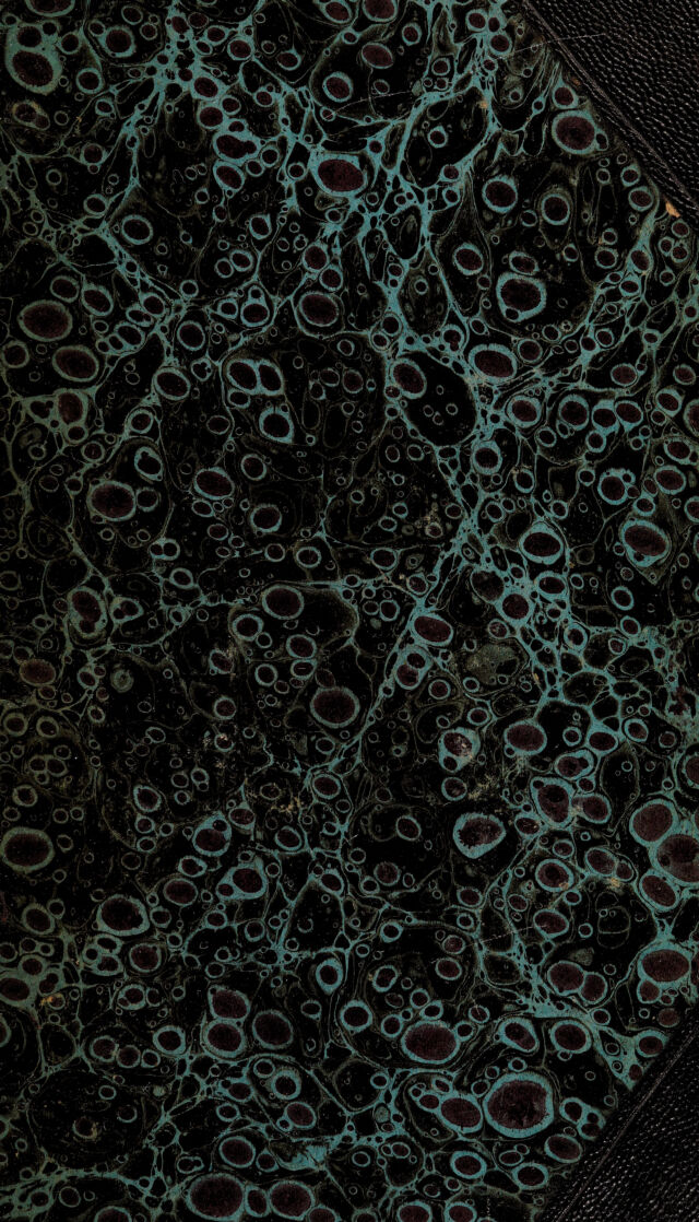 No text description is available for this image