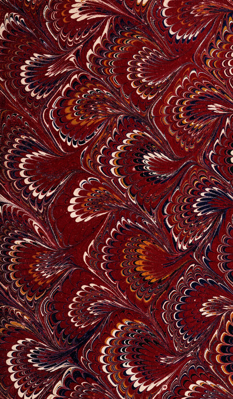 No text description is available for this image