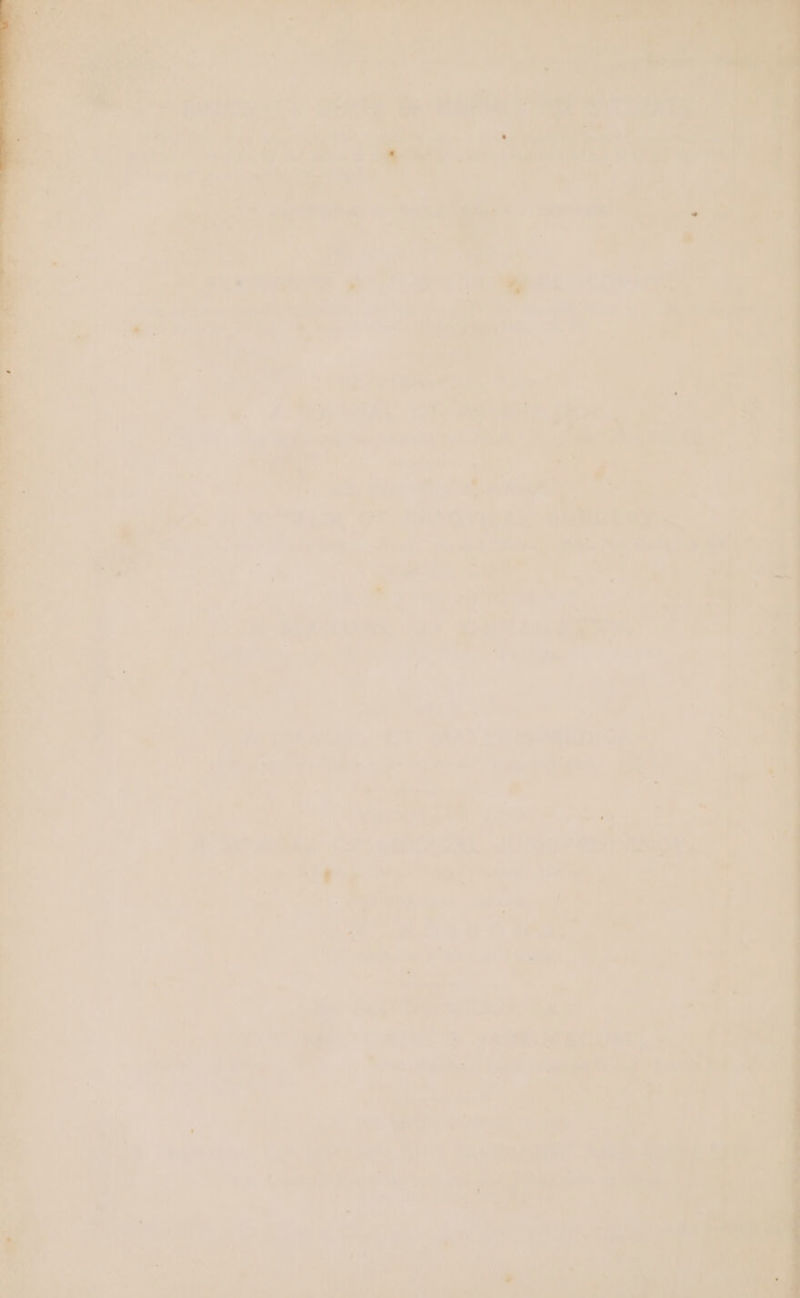 wr a ames aey oly itd ton ; rad Sd “- a UN 2 raat Saree Pts - a j Ie y : bye B. ee ee o>) 1 wee Tks te ny a De Nieene ce ae Su ree : 7 : ae ; — Mes): sug ERS ens id ied ie es i. | - ew . wf, , re ” ‘ > hy yi’ ‘ es 5 Z ‘a 1 Ned : te ; * , Tr iene a ; ‘ a + os ar : s ' ; “mis a 1 y ‘ cgi Soe 225 gee a! is . 2 Py ‘ : i e995 mali ae oe Pa « 4 7 Purdy Se a ‘ ate awk : 7 a ~ Ar al . Mi a ae > ia pa tay ic, ~ ~ ; ie ot ie ae en ey : . ane, ‘iecaine kan abe ra wie cee zt Yea ine Ye 7) 7. van Lt ay Fone hae é wee i 7 a {<2 em - ‘v f ht eee Trae eee