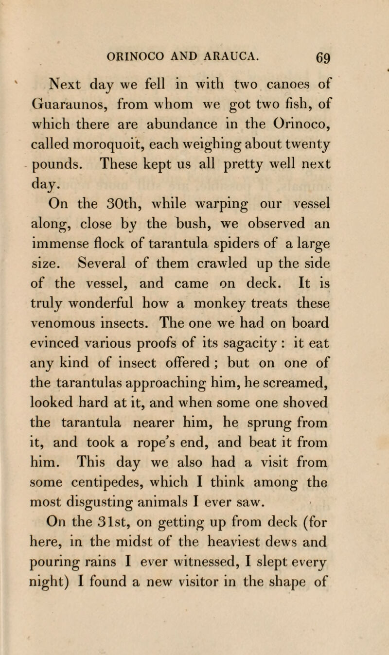 Next day we fell in with two canoes of Guaraunos, from whom we got two fish, of which there are abundance in the Orinoco, called moroquoit, each weighing about twenty pounds. These kept us all pretty well next day. On the 30th, while warping our vessel along, close by the bush, we observed an immense flock of tarantula spiders of a large size. Several of them crawled up the side of the vessel, and came on deck. It is truly wonderful how a monkey treats these venomous insects. The one we had on board evinced various proofs of its sagacity : it eat any kind of insect offered ; but on one of the tarantulas approaching him, he screamed, looked hard at it, and when some one shoved the tarantula nearer him, he sprung from it, and took a rope's end, and beat it from him. This day we also had a visit from some centipedes, which I think among the most disgusting animals I ever saw. On the 31st, on getting up from deck (for here, in the midst of the heaviest dews and pouring rains I ever witnessed, I slept every night) I found a new visitor in the shape of