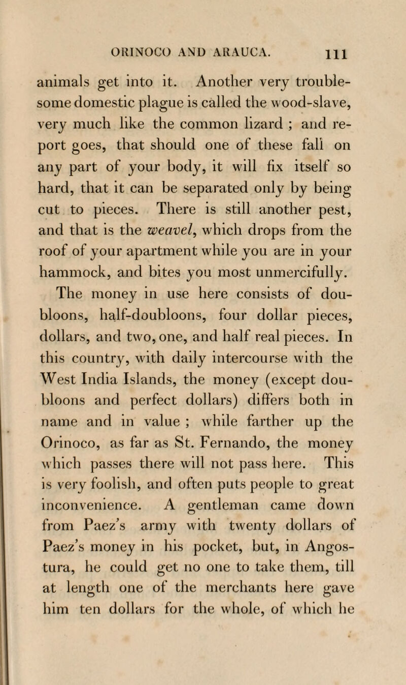 animals get into it. Another very trouble¬ some domestic plague is called the wood-slave, very much like the common lizard ; and re¬ port goes, that should one of these fall on any part of your body, it wall fix itself so hard, that it can be separated only by being cut to pieces. There is still another pest, and that is the weavel, which drops from the roof of your apartment while you are in your hammock, and bites you most unmercifully. The money in use here consists of dou¬ bloons, half-doubloons, four dollar pieces, dollars, and two, one, and half real pieces. In this country, with daily intercourse with the West India Islands, the money (except dou¬ bloons and perfect dollars) differs both in name and in value ; while farther up the Orinoco, as far as St. Fernando, the money which passes there will not pass here. This is very foolish, and often puts people to great inconvenience. A gentleman came down from Paez’s army with twenty dollars of Paez’s money in his pocket, but, in Angos¬ tura, he could get no one to take them, till at length one of the merchants here gave him ten dollars for the whole, of which he
