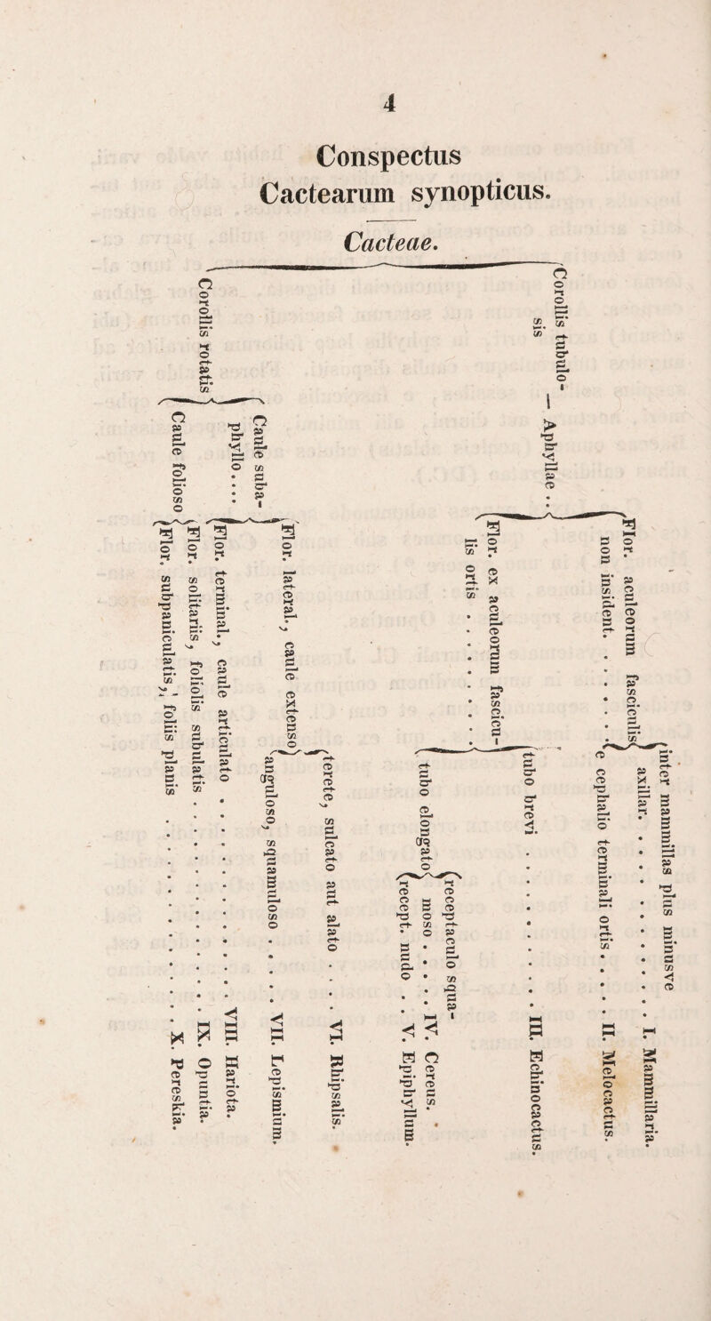 Conspectus Cactearum synopticus. Cacteae. n o >-« o Cfi' o <r»- S» tr*- VI n ? O O 3 o «1 si o “rs 5S o ® 2 03 S- ps* B >—• CA 05 O P »-< )—I* I—'• w. o H-'» o M • CA 05 P CT* CD »-« 2 5‘ p O PS O) p >-{ p O o •Tf p O HJ P O p (t> o ft> B VI O p B CT? o CA O 03 O 03 O (Ti >-S fP (Tt- VI n P O P 2* p* O o i-t o 2.2- «> ri- B CT* o I l > cr i V B- B* >—■ © 'S o 03 ►B • B P • c* © • P • * 1 • 3 f=‘* 2 03 © »-s 03 © X P © a © o p 03 © 1—!• © B o* o © o B Cfq p & o cr* i-i © X © © © © ►-J © © © •© O *B 03 P © 03 B P I « « <Tt- O B • • • B « • & * • • - © • * • • • • • )-N IIIA H-4 • • <1 • IV. © O K p © 53 B' H ►c ■■ii • O © Ny © © 03 s B •-< O* M* 05 'H- CT> rt* P 5 ^ • 'S- 05 • p' 2 S’ c* • • 3 « 3 it 5' o © p © ‘ /inter mammillas plus minusve , . ) ..I- Mammillaria. ,FIor. aculeorum fasciculisc non insident.cephalio terminali ortis.II* Melocactus.