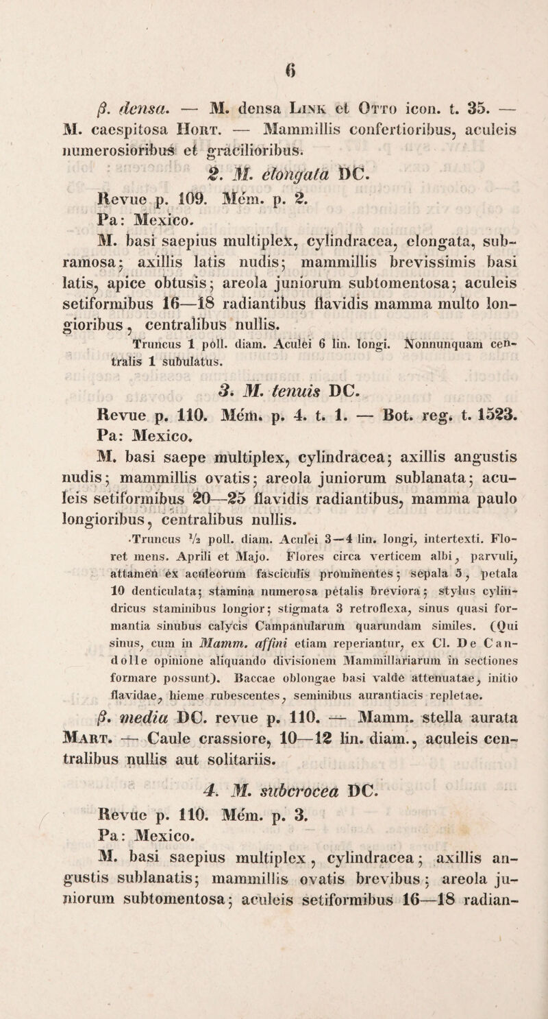 de7isa, — M. densa Link et Otto icon. t. 35. — M. caespitosa Hort. — Mammillis confertioribus, aculeis numerosioribu-s ei gracilioribus. 2. M. elongat a t)C. Hevue p. 109. Mem. p. 2. Pa: Mexico. M. basi saepius multiplex, cylindracea, elongata, sub- ramosa j axillis latis nudis 5 mammillis brevissimis basi latis, apice obtusis; areola juniorum subtomeiitosa; aculeis setiformibus 16—18 radiantibus flavidis mamma multo Ion- i gioribus, centralibus nullis. Truncus 1 poll. diam. Aculfei 6 lin. longi. Nonnunquam cen¬ tralis 1 subulatus. B» M. tenuis DC. Revue p. 110. Meili. p. 4. t. 1. — Bot. reg* t. 1523. Pa: Mexico. M. basi saepe multiplex, cylindracea; axillis angustis nudis; mammillis ovatis; areola juniorum sublanata; acu¬ leis setiformibus 20—-25 flavidis radiantibus, mamma paulo longioribus, centralibus nullis. •Truncus V2 poll. diam. Aculei 3—4 lin. longi^ intertexti. Flo¬ ret mens. Aprili et Majo. Flores circa verticem albi^ parvuli^ attameri aculeorum fasciculis prominentes; sepala 5, petala 10 denticulata; stamina numerosa petalis breviora; stylus cylin¬ dricus staminibus longior; stigmata 3 retroflexa^ sinus quasi for¬ mantia sinubus calycis Campanularum quarundam similes. (Oui sinus_, cum in Mamm. affini etiam reperiantur^ ex Cl. De Can- dolle opinione aliquando divisionem Mammillariarum in sectiones formare possunt). Baccae oblongae basi valde attenuatae^ initio flavidaej hieme rubescentes^ seminibus aurantiacis repletae. /?. media DC. revue p. 110. Mamm. stella aurata Mart. Caule crassiore, 10—12 lin. diam., aculeis cen¬ tralibus nullis aut solitariis. 4. M. suberocea DC. Revue p. 110. Mem. p. 3, Pa: Mexico. M. basi saepius multiplex, cylindracea; axillis an¬ gustis sublanatis; mammillis ovatis brevibus ; areola ju¬ niorum subtomentosa; aculeis setiformibus 16—18 radian-