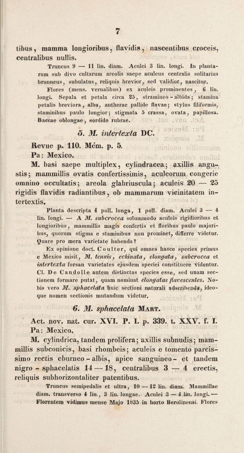 7 tibus, mamma longioribus, flavidis, nascentibus croceis, centralibus nullis. Truncus 9 —• 11 liu. diam. Aculei 3 lin. longi. In planta¬ rum sub divo cultarum areolis saepe aculeus centralis solitarius brunneus^ subulatus^ reliquis brevior^ sed validior, nascitur. Flores (mens, vernalibus) ex aculeis prominentes, 6 lin. longi. Sepala et petala circa 85, stramineo - albida j stamina petalis breviora, alba, antherae pallide flavae; stylus filiformis, staminibus paulo longiorj stigmata 5 crassa, ovata, papillosa. Baccae oblongae, sordido rubrae. . . . i d, M. intertexta DC. ^ ^ Revue p. 110. Mem. p. 5. Pa: Mexico. M. basi saepe multiplex, cylindraceaj axillis angu-»^ stis; mammillis ovatis confertissimis, aculeorum congerie omnino occultatis; areola glabriuscula; aculeis 20 — 25 rigidis flavidis radiantibus, ob mammarum vicinitatem in¬ tertextis. Planta descripta 4 poli, longa, 1 poli. diam. Aculei 3 — 4 lin. longi. — A M. subcrocea solummodo aculeis rigidioribus et longioribus, mammillis magis confertis et floribus paulo majori¬ bus, quorum stigma e staminibus non prominet, differre videtur. Quare pro mera varietate habenda? Ex opinione doct. Coulter, qui omnes hasce species primus e Mexico misit, M, tenuisy echinatay elongatay subcrocea et intertexta forsan varietates ejusdem speciei constituere videntur. Cl. De Candolle autem distinctas species esse, sed unam sec¬ tionem formare putat, quam nominat elongatas flavescentes. No¬ bis vero M. sphacelata huic sectioni natiwali adwribenda:,, ideo- que nomen sectionis mutandum videtur, 6, M. sphacelata Mart. Act. nov. nat. cur. XVI. P. I. p. 339. t. XXV. f. I. Pa: Mexico. M. cylindrica, tandem prolifera; axillis subnudis; mam¬ millis subconicis, basi rhombeis; aculeis e tomento parcis¬ simo rectis eburneo - albis, apice sanguineo- et .tandem nigro - sphacelatis 14^—-18, centralibus 3 — 4 erectis, reliquis subhorizontaliter patentibus. Truncus semipedalis et ultra, 10—12 lin. diam. Mammillae diam, transverso 4 lin., 3 lin. longae. Aculei 3 — 4,lin. longi.— Florentem vidimus mense Majo 1835 in horto Berolinensi. Flores