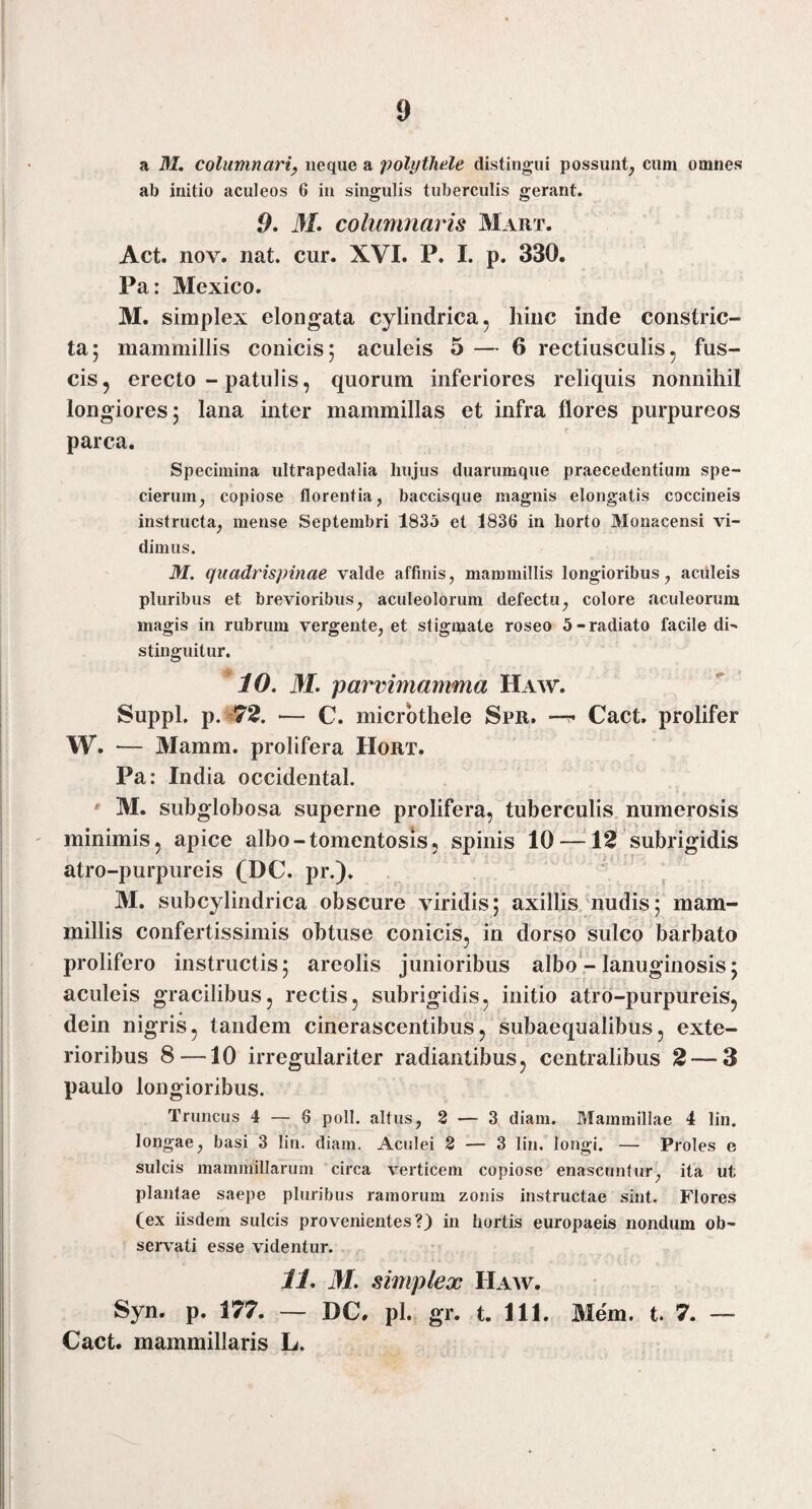 a M. columnari, neque a polythele distingui possunt^ cum omnes ab initio aculeos 6 in singulis tuberculis gerant. 9. 3L columnaris Mart. Act. nov. nat. cur. XVI. P. I. p. 330. Pa: Mexico. M. simplex elongata cylindrica, hinc inde constric¬ ta; mammillis conicis; aculeis 5 — 6 rectiusculis, fus¬ cis, erecto - patulis, quorum inferiores reliquis nonnihil longiores; lana inter mammillas et infra flores purpureos parca. Specimina ultrapedalia hujus duarumque praecedentium spe- cierum^ copiose florentia, baccisque magnis elongatis coccineis instructa, mense Septembri 1835 et 1836 in horto Monacensi vi¬ dimus. M. quadrispinae valde affinis, mammillis longioribus, aculeis pluribus et brevioribus, aculeolorum defectu, colore aculeorum magis in rubrum vergente, et stigmate roseo 5-radiato facile di^ stinguitur. 10. M. parvimamma Haw. ^ Suppi, p. '72. — C. micrbthele Spr. Cact. prolifer W. — Mamm. prolifera Hort. Pa: India Occidental. ^ M. subglobosa superne prolifera, tuberculis, numerosis minimis, apice albo-tomentosis, spinis 10 —12 subrigidis atro-purpureis (DC. pr.). M. subcylindrica obscure viridis; axillis'nudis; mam¬ millis confertissimis obtuse conicis, in dorso sulco barbato prolifero instructis; areolis junioribus albo‘- lanuginosis; aculeis gracilibus, rectis, subrigidis, initio atro-purpureis, dein nigris, tandem cinerascentibus, subaequalibus, exte¬ rioribus 8—10 irregulariter radiantibus, centralibus 2 — 3 paulo longioribus. Truncus 4 — 6 poli, altus, 2 — 3 diam. Mammillae 4 lin. longae, basi 3 lin. diam. Aculei 2 — 3 lin. longi. — Proles e sulcis mammillarum circa verticem copiose enascuntur, ita ut planlae saepe pluribus ramorum zonis instructae sint. Flores (ex iisdem sulcis provenientes?} in hortis europaeis nondum ob¬ servati esse videntur. 11. M. simplex Haw. Syn. p. 177. — DC. pl. gr. t. 111. Mem. t. 7. ~ Cact. mammillaris L.