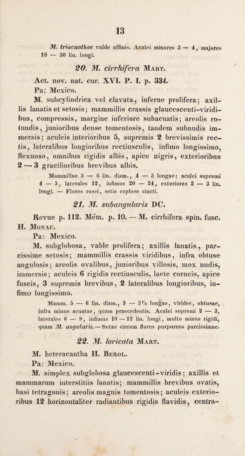 M. triacanthae valde affinis. Aculei minores 3 — 4, majores 18 — 30 lin. longi. 20. M* cirrhifera Mart. Act. nov. nat. cur. XVI. P. I. p. 334. Pa: Mexico. 31. subcylindrica vel clavata, inferne prolifera; axil¬ lis lanatis et setosis; mammillis crassis glaucescenti-viridi¬ bus, compressis, margine inferiore subacuatis; areolis ro¬ tundis, junioribus dense tomentosis, tandem subnudis im¬ mersis ; aculeis interioribus 5, supremis 2 brevissimis rec¬ tis, lateralibus longioribus rectiusculis, infimo longissimo, flexuoso, omnibus rigidis albis, apice nigris, exterioribus 2 — 3 gracilioribus brevibus albis. Mammillae 5 — 6 lin. diam.^ 4 — 5 longae 5 aculei supremi 4 — 5^ laterales 12 ^ infimus 20 — 24^ exleriores 2 — 3 lin. longi. — Flores rosei, setis copiose cincti. 21. M. sub angularis DC. Revue p. 112. 3Iem. p. 10. — 31» cirrliifera spin. fuse. H. 3I0NAC. Pa: 3Iexico. 31. subglobosa, valde prolifera; axillis lanatis, par¬ cissime setosis; mammillis crassis viridibus, infra obtuse angulosis; areolis ovalibus, junioribus villosis, mox nudis, immersis; aculeis 6 rigidis rectiusculis, laete corneis, apice fuscis, 3 supremis brevibus, 2 lateralibus longioribus, in¬ fimo longissimo. Mamm. 5 — 6 lin. diam., 3 — 3V2 longae, virides, obtusae, infra minus acuatae, quam praecedentis. Aculei supremi 2 —^3, laterales 6 — 8, infimus 10 —12 lin. longi, multo minus rigidi, quam M. angularis.— Setae circum flores purpureos parcissimae. 22. M. loricata 3Iart. 31. heteracantha H. Berol. Pa: 31exico. 31. simplex subglobosa glaucescenti-viridis; axillis et mammarum interstitiis lanatis; mammillis brevibus ovatis, basi tetragonis; areolis magnis tomentosis; aculeis exterio¬ ribus 12 horizontaliter radiantibus rigidis flavidis, centra-