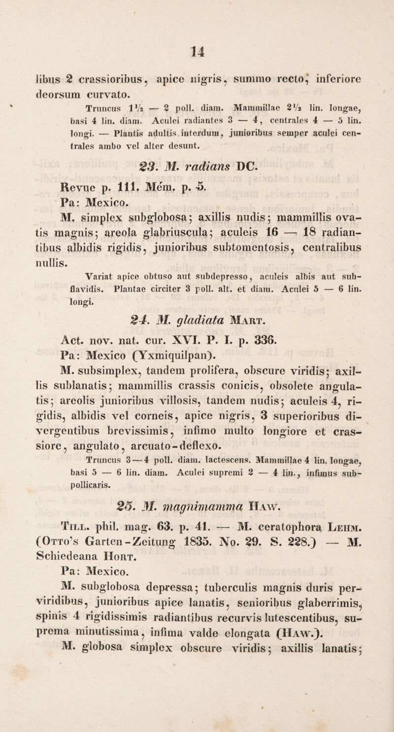 14 libiis 2 crassioribus5 apice nigris, summo recto,* inferiore deorsum curvato. Truncus IV2 — 2 poli. diam. Mammillae 8V2 lin, longae, basi 4 lin. diam. Aculei radiantes 3 — 4, centrales 4 — 5 lin. longi. — Plantis adultis interdum, junioribus semper aculei cen¬ trales ambo vel alter desunt. 23. M. radians DC. Revue p. 111. Mem, p. -5. Pa: Mexico. M. simplex subglobosa; axillis nudis 5 mammillis ova¬ tis magnis; areola glabriuscula; aculeis 16 — 18 radian¬ tibus albidis rigidis, junioribus subtomentosis, centralibus nullis. Variat apice obtuso aut subdepresso, aculeis albis aut sub- flavidis. Plantae circiter 3 poli. ait. et diam. Aculei 5 — 6 lin. longi. 24. M. gladiata Mart. Act. nov. nat. cur. XVI. P. I. p. 336. Pa: Mexico (Yxmiquilpan). M. subsimplex, tandem prolifera, obscure viridis; axil¬ lis sublanatis; mammillis crassis conicis, obsolete angula¬ tis; areolis junioribus villosis, tandem nudis; aculeis 4, ri¬ gidis, albidis vel corneis, apice nigris, 3 superioribus di¬ vergentibus brevissimis, infimo multo longiore et cras¬ siore, angulato, arcuato-deflexo. Truncus 3 — 4 poli. diam, lactescens. Mammillae 4 lin. longae, basi 5 — 6 lin. diam. Aculei supremi 2 — 4 lin., infimus sub- pollicaris. 26. 31. magnimamma Haw. Till. pliil. mag. 63. p. 41. — M. ceratophora Lehm. (Otto’s Garten-Zeitung 1835. No. 29. S. 228.) — M. Schiedeana Hort. Pa: Mexico. M. subglobosa depressa; tuberculis magnis duris per¬ viridibus, junioribus apice lanatis, senioribus glaberrimis, spinis 4 rigidissimis radiantibus recurvis lutescentibus, su¬ prema minutissima, infima valde elongata (Haw.).