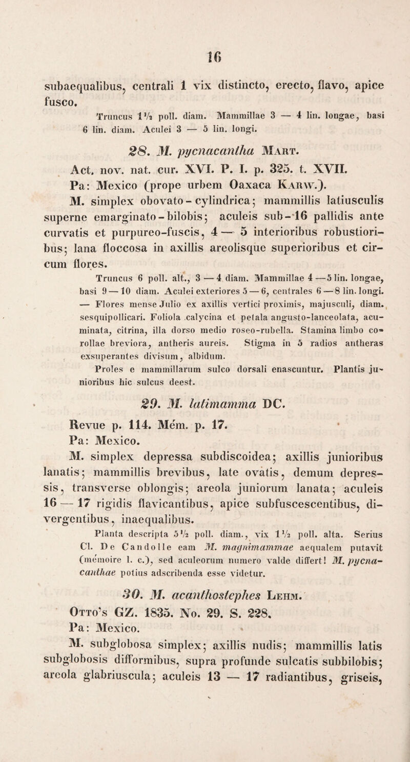 fusco. Truncus IVa poli. diam. Mammillae 3 — 4 lin. longae, basi 6 lin. diam. Aculei 3 — 5 lin. longi. 28, 31, 'pycnacantha Mart. Act, nov. nat. cur. XVI. P. I. p. 325. t. XVII. Pa: Mexico (prope urbem Oaxaca Karw.). M. simplex obovato - cylindrica 5 mammillis latiusculis superne emarginato-bilobis; aculeis sub-*16 pallidis ante curvatis et purpureo-fuscis, 4— 5 interioribus robustiori¬ bus; lana floccosa in axillis areolisque superioribus et cir¬ cum flores. Truncus 6 poli, ait., 3—4 diam. Mammillae 4—5 lin. longae, basi 9 — 10 diam. Aculei exteriores 5 — 6, centrales 6—8 lin. longi. — Flores mense Julio ex axillis vertici proximis, majusculi, diam., sesquipollicari. Foliola calycina et pelala angusto-lanceolata, acu¬ minata, citrina, illa dorso medio roseo-rubella. Stamina limbo co* rollae breviora, antheris aureis. Stigma in 5 radios antheras exsuperantes divisum, albidum. Proles e mammillarum sulco dorsali enascuntur. Plantis ju'* nioribus hic sulcus deest. 29, 31. latimamma DC. Revue p. 114. Mem. p. 17. Pa: Mexico. M. simplex depressa subdiscoidea; axillis junioribus lanatis; mammillis brevibus, late ovatis, demum depres¬ sis, transverse oblongis; areola juniorum lanata; aculeis 16 — 17 rigidis flavicantibus, apice subfuscescentibus, di¬ vergentibus , inaequalibus. Planta descripta 5'/2 poli, diam., vix IV2 poli. alta. Serius Cl. De Candolle eam M. maynimammae aequalem putavit (memoire 1. c.), sed aculeorum numero valde dilFert! M. pycna- canthae potius adscribenda esse videtur. 30, 31, acandwslephes Lehm. Otto’s GZ. 1835. No. 29. S. 228, Pa: Mexico. M. subglobosa simplex; axillis nudis; mammillis latis subglobosis dilTormibus, supra profunde sulcatis subbilobis; areola glabriuscula; aculeis 13 — 17 radiantibus, griseis,