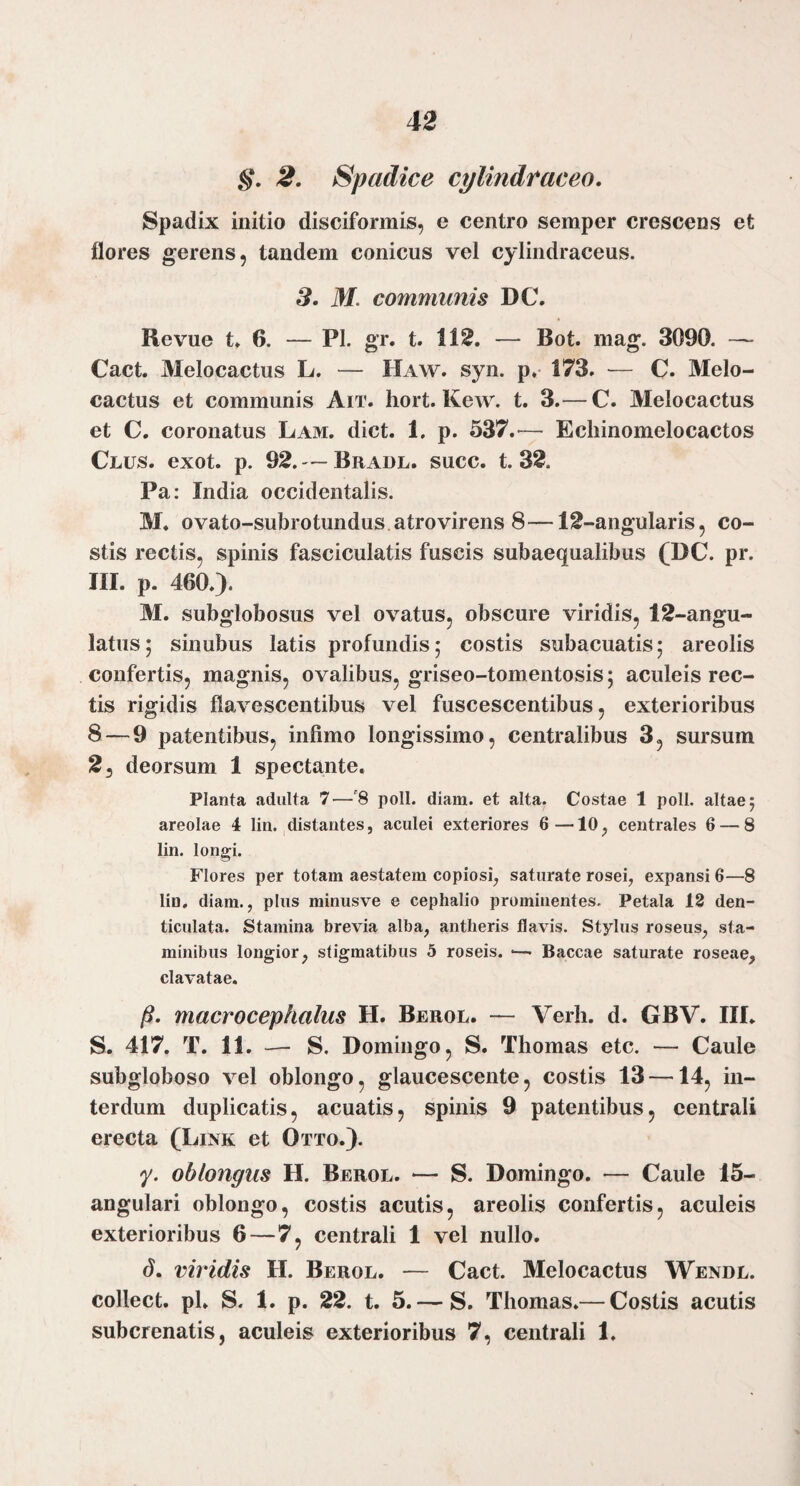 §, 2, Spadice cylindtaceo. Spadix initio disciformis, e centro semper crescens et flores gerens, tandem conicus vel cylindraceus. 3. M. communis DC. Revue t» 6. — Pl. gr. t. 112. — Bot. mag. 3090. — Cact. Melocactus L. — Haw. syn. p. 173. — C. Melo- cactus et communis Ait. hort. Kew. t. 3.— C. Melocactus et C. coronatus Lam. dict. 1. p. 537.^— Echinomelocactos Clus. exot. p. 92. — Bradl. succ. t. 32. Pa: India occidentalis. M. ovato-subrotundus atro virens 8—12-angularis, co¬ stis rectis, spinis fasciculatis fuscis subaequalibus (DC. pr. III. p. 460.). M. subglobosus vel ovatus, obscure viridis, 12-angu- latus; sinubus latis profundis; costis subacuatis; areolis confertis, magnis, ovalibus, griseo-tomentosis; aculeis rec¬ tis rigidis flavescentibus vel fuscescentibus, exterioribus 8 — 9 patentibus, infimo longissimo, centralibus 3, sursum 2, deorsum 1 spectante. Planta adulta 7—'8 poll. diam, et alta. Costae 1 poli, altae; areolae 4 lin.,distantes, aculei exteriores 6—10, centrales 6 — 8 lin. longi. Flores per totam aestatem copiosi, saturate rosei, expansi 6—8 lin. diam., plus minusve e cephalio prominentes. Petala 12 den¬ ticulata. Stamina brevia alba, antlieris flavis. Stylus roseus, sta¬ minibus longior, stigmatibus 5 roseis. ■— Baccae saturate roseae, clavatae. macrocephalus H. Berol. — Verh. d. GBV. III. S. 417. T. 11. — S. Domingo, S. Thomas etc. — Caule subgloboso vel oblongo, glaucescente, costis 13 —14, in¬ terdum duplicatis, acuatis, spinis 9 patentibus, centrali erecta (Link et Otto.). y. oblongus H. Berol. — S. Domingo. — Caule 15- angulari oblongo, costis acutis, areolis confertis, aculeis exterioribus 6—7, centrali 1 vel nullo. d. vwidis H. Berol. — Cact. Melocactus Wendl. collect. pl. S. 1. p. 22. t. 5. — S. Thomas.— Costis acutis subcrenatis, aculeis exterioribus 7, centrali 1.