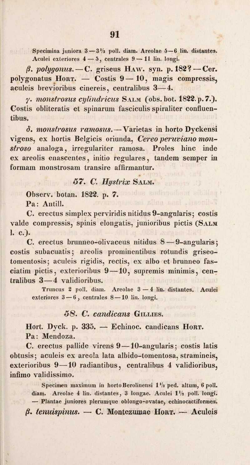 Specimina juniora 3 —SVa poli. diam. Areolae 5—6 lin. distantes. Aculei exteriores 4 — 5, centrales 9 — 11 lin. longi. /?. polygoniis. — C. griseus Haw. syn. p. 182? — Cer. polygonatus Hort. — Costis 9—10, magis compressis, aculeis brevioribus cinereis, centralibus 3—4. y. monstrosus cylindricus Salm (obs. bot. 1822. p. 7.). Costis obliteratis et spinarum fasciculis spiraliter confluen¬ tibus. (J. monstrosus ramosus,—^ Varietas in horto Dyckensi vigens, ex hortis Belgicis oriunda. Cereo peruviano mon- stroso analoga, irregulariter ramosa. Proles hinc inde ex areolis enascentes, initio regulares, tandem semper in formam monstrosam transire affirmantur. 67, C. Hystrix Salm. Observ. botan. 1822. p. 7. Pa: Antill. C. erectus simplex perviridis nitidus 9-angalaris; costis valde compressis, spinis elongatis, junioribus pictis (Salm I. c.^» C. erectus brunneo-olivaceus nitidus 8—9-angularis5 costis subacuatis; areolis prominentibus rotundis griseo- tomentosis; aculeis rigidis, rectis, ex albo et brunneo fas- ciatim pictis, exterioribus 9 —10, supremis minimis, cen^ tralibus 3—4 validioribus. Truncus 2 poli. diam. Areolae 3 — 4 lin. distantes. Aculei exteriores 3 — 6, centrales 8 —10 lin. longi. ^8. C, candicans Gillies. Hort. Dyck. p. 335. — Echinoc. candicans Hort. Pa: Mendoza. C. erectus pallide virent 9 — 10-angularis; costis latis obtusis; aculeis ex areola lata albido-tomentosa, stramineis, exterioribus 9—10 radiantibus, centralibus 4 validioribus, infimo validissimo. Specimen maximum in horto Berolinensi IV2 ped. altum^ 6 poli, diam. Areolae 4 lin. distantes, 3 longae. Aculei IVa poli, longi. — Plantae juniores plerumque oblongo-ovatae, echinocactiformes. /?. fenuispinus, — C. Montezumae Hort. — Aculeis