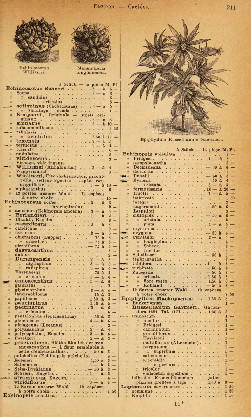 Echinocactus Williamsi, Mammillaria longimamma. h Stiick — la pi6ce M. Pf. Echinocactus Scheeri.3 — a 5 — » Scopa.3 — a, 6 — » » candidus . 3 — » » » cristatus. 8 — setispinus (Caclietianus) ... 3 — 4 5 — » « Samlinge — semis. 1 — » Simpsoni, Originale — sujets ori- ginaux.3 — k 6 — » sinuatus.6 — a 10 — » submammillosus. 1 50 —•» tabularis. 3 — » » cristatus.7,50 a 15 — » texensis ......2— a 5 — — » tortuosus.1 — a 4 — » tulensis . 6 — » undulatus. 5 _ » viridescens. 3 — » Visnaga, vide ingens. r^» Williamsi (Anhalonium) . . .2 — a 4 — » Wippermanni . 3 — » W^islizeni, Fischhakencactus, pracht- volle, seltene Species — esp^ce rare magnifique.5 _ ^ 10 — » xiphacanthus. 6 — » 12 Sorten unserer Wahl — 12 esp^ces a notre choix.15 — Echinocereus acifer.2 — a 3 — » » brevispinulus. 2 — )) amoenus (Echinopsis amoena) . .3 — a 5 — » Berlandieri .1 — a 2 — )) Blankii, Engelm. 2 — )) caespitosus.2 — a 3 — )) candicans. 2 — » carnosus.2 — a 6 — » cinerascens (Deppei).— 75 a 6 — )) » crassior.— 75 a 6 — » cirrhiferus ..— 75 a 6 — » dasyacanthus. 3 — » dubius.2 — » Durangensis.2 — a 6 — » )) nigrispinus ..3 — a 6 — )) » rufispinus.3 — a 6 — )) Ebrenbergi .. 75 ^ 3 _ » » cristatus .3 — a 6 — enneacanthus.l — a 6- » gladiatus. 2 — » glycimorphus.2 — a 4 — » lamprocblorus .— 75 a 3 — )) papillosus .1,50 a 3 — » paucispinus.1,50 a 5 — » pectinatus.3 — a 6 — » » cristatus. 6 — » pentalopbus (leptacantbus) . . — 50 a 3 — » pboeniceus.4 — a 6 — )) pleiagonus (Leeanus). 2 — » polyacanthus .2 — k 4 — )) polycephalus, Engelm.2 — a 6 — » Poselgeri.1 — a 3- procumbens, Bliithe ahnlich der von enneacanthus — a fleur semblable a celle d’enneacanthue.— 50 a 3 — » pulchellus (Echinopsis pulchella) ... 3 — » Bioemeri.1,50 a 3 — )) Salmianus.1 — a 3 — » Salm-Dyckianus.— 50 a 3 — » Scheerii, Engelm.1 — a 3 — —stramineus, Engelm. 4* — » viridiflorus . 3 — a4 — » 12 Sorten unserer Wahl — 12 esp^ces a notre choix. 7 50 Echinopsis achatina.. 2 — Epiphyllum Russellianum Gaertneri. a Stiick — la pi^ce M. Pf. Echinopsis apiculata. 3 — » Bridgesi.1 — a 3 — » campylacantha. 8 — » Decaisneana.— 50 a 6 — » denudata.. . . . 1 — Duvalli.— 50 a 6 — Byriesii .— 50 a 6 — » » cristata •. 3 — a 5 — » formosissima.10 — a 20 — » Huotti. 1 — a 5 — » imbricata. 1 50 » integra.. 2 — » Lagermanni.— 50 a 6 — » Lapaixi. 3 — » multiplex.— 50 a 6 — » )) cristata. 5 — » » picta.1 — as — » nigerrima. 1 — oxygona.— 50 a 6 — Pentlandi.2 — k 5 — » » longispina.3 — » » Scheeri . 3 — » » tricolor. 4 — » Schelhasei .— 50 a 3 — - » tephracantha. 2 — —*» tubiflora ..1 — a 3 — ih*» turbinata .. — 50 a 3 — » Zuccarini.— 50 a 6 — » » cristata .2,50 a 5 — » )) flore roseo .1,50 a 6 — » » Bohlandi .— 50 a 6 — )) 12 Sorten unserer Wahl — 12 espfeces a notre choix. 7 50 Epiphyllum Mackoyanum ... 1,50 a 3 — » Euckerianum .1 — » Russellianum Gartneri, Garten- flora 1884, Taf. 1172 . 1,50 a 5 — — )) truncatum. 1 — » » bicolor . 1 — » )) Bridgesi . 1 — » » carminatum. 1 — » » grandiflorum.1 — » » Harrisoni. 1 — » » multiflorum (Altensteini). 1 — » » purpureum. 1 — » » )) superbum. 1 — » )) Salmoneum. 1 — )) » spectabile. 1 — n » » superbum. 1 — » » tricolor . 1 — » » violaceum superbum. 1 — )) hiibsche Kronenbaumchen — jolies plantes greff6es a tige .... 1,50 a 3 — Lepismium cavernosum. 1 50 » commune. 1 50 » Knightii . 1 50 14*