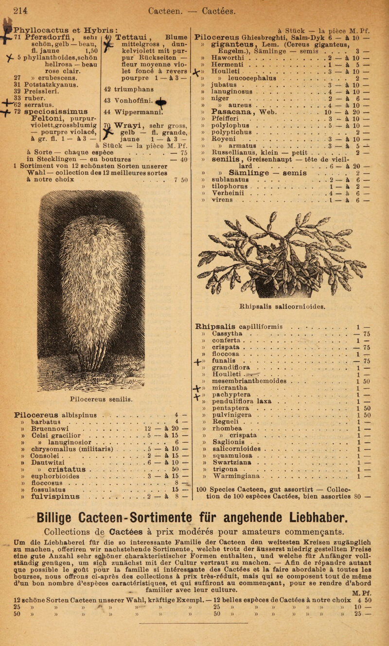 Phyllocactus et Hybris: ^ Tettaui, Blume yL mittelgross , dun- / kelviolett mit pur- pur Btickseiten — fleur moyenne vio¬ let fonc6 k revers pourpre 1 — k 3 — 42 triumplians 43 YonlLoffini. 44 Wippermanni. TO Wrayi, sehr gross, — pourpre violac6, ^ gelb — fl. grande, & gr. fl. 1 — i 3 — ^ jaune 1 — ^ 3 — 4 Stuck — la pi^ce M. Pf. Sorte — chaque eap^ce .— 75 in Stecklingen — en boutures — 40 1 Sortiment von 12 schbnsten Sorten unaerer Wabl— oollection des 12 meilleures sortes notre cboix . 7 50 Pilocereus senilis. Pilocereus albispinus. 4 — » barbatus . . 4 » Bruennowi . . 12 — k 20 y> Celsi gracilior. . . 5 — k 15 » » lanuginosior. . 6 » chrysomallus (militaris) . . . . . 5 — k 10 » Consolei. . . 2 — k 15 » Dautwitzi . . . 6 — k 10 )) » cristatus. . 50 » euphorbioides . . . 3 — k 15 » floccosus .... . . 8 fossulatus . . 15 » fulvispinus . . . 2 — k 8 4 Stbck — la pi6ce M. Pf. Pilocereus Grbiesbreghti, Salm-Dyk 6 — 10 — » grigranteus, Lem. (Cereus giganteus, Engelm.), Samlinge — semis .... 3 — » Haworthi.2 — k 10 — » Hermenti.1 — k 5 — J<» Houlleti.3 — 10 — ^» » leucocephalus. 2 — » jubatus.3 — 10 — » lanuginosus.4 — k 10 — » niger.2 — k 6 — » » aureus.4 — 4 10 — » Pasacana, Web.lo — k 20 — » Pfeifferi.3 — 10 — » polylophus.5 — k 10 — » polyptichus. 2 — » Koyeni.3 — i 10 — » » armatus.3 — k 5 — » Bussellianus, klein — petit. 2 — » senilis, Greisenhaupt — tete de vieil- lard.6 — & 20 — » » Samling-e — semis . 2 — » sublanatus.2 — k 6 — » tilophorus.1— a 2 — » Verheinii .... . . .4 — 5, 6 — » virens .1 — k 6 — Ehipsalis salicornioides. Pbipsalis capilliformis . . •. 1 — » Cassytha.— 75 » conferta. l — » crispata. — 75 » floccosa. 1 — funalis.— 75 ‘ )) grandiflora. 1 — » Houlleti . 1 — » mesembrianthemoides. 1 50 -V » micrantba . .... 1 — )) pacbyptera. 1 — ‘ » penduliflora laxa. . . 1 — » pentaptera. 1 50 )) pulvinigera .. 1 50 » Regneli .... . . 1 — )) rbombea . 1 — » » crispata. 1 — » Saglionis . . 1 — » salicornioides. 1 — » squamulosa. 1 — » Swartziana. 1 — » trigona . . 1 — » Warmingiana. 1 — 100 Species Cacteen, gut assortirt — Collec- tion de 100 espfeces Cactfies, bien assorties 80 — x'iersuoriii, senr schOn, gelb — beau, fl. jaune 1,50 . 5 phyllanthoideSjSchbn hellrosa — beau rose clair. 27 » erubescens. 31 Potstatzkyanus. 32 Preissleri. 33 ruber. 62 serratus. 72 speciosissimus Feltoni, purpur- oaVkl n TV» 1 nr Billige Cacteen-Sortimente fiir angehende Liebhaber. Collections de Cact§es a prix moderes pour amateurs commenQants. (Jm die Liebhaberei fiir die so interessante Pamilie der Cacteen den weitesten Kreisen zuganglich zu macben, offeriren wir nachstehende Sortimente, welche trotz der ausserst niedrig gestellten Preise eine gute Anzahl sehr SQ^iOner charakteristischer Pormen enthalten, und welche Mr Anfanger voll- stkndig geniigen, um sich zunachst mit der Cultur vertraut zu machen. — Afin de r^pandre autant que possible le goflt pour la famille si interessante des CactSes et la faire abordahle toutes les bourses, nous offrons ci-apr^s des collections k prix trds-reduit, mais qui se composent tout de mSme d’un bon nombre d’espece8 caracteristiques, et qui suffiront au commendant, pour se rendre d’abord „ familier avec leur culture. ^ 12 schone Sorten Cacteen unserer Wahl, kraftige Exempl. —12 belles espSces de Cactees k notre choix 4 50 25 » » » )) »■ » » 25 » » » » )) » )) 10 —