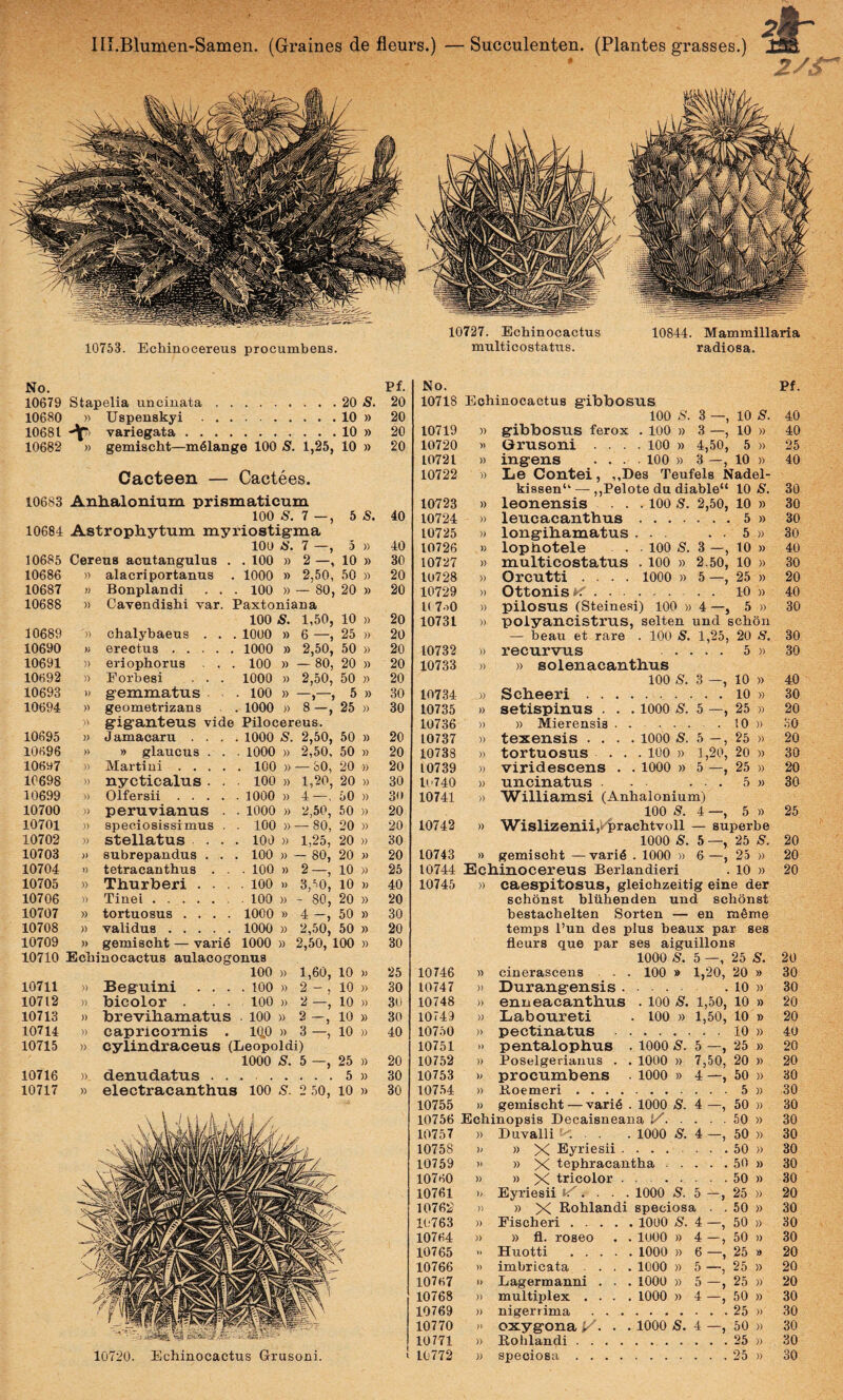 10753. Echinocereus procumbens. No. Pf. 10679 Stapelia uncinata.20 5. 20 10680 Uspenskyi.10 » 20 10681 variegata.10 » 20 10682 » gemischt—m61ange 100 S. 1,25, 10 » 20 Cacteen — Cactees. 10683 Anlialoiiium prismaticum 100 5. 7 —, 5 S. 40 10684 Astrophytum myriostigma lOO <!>’. 7 —, 5 » 40 10685 Cereus acutangulus . . 100 » 2 —, 10 » 30 10686 alacriportanus 1000 » 2,50, 50 » 20 10687 )) Bonplandi . . . 100 » — 80, 20 » 20 10688 )) Cavendishi var. Paxtoniana 100 S. 1,50, 10 » 20 10689 '» chalybaeus . . . 1000 » 6 —, 25 » 20 10690 )) erectus . 1000 » 2,50, 50 » 20 10691 )) eriophorus . . . 100 » —80, 20 » 20 10692 )) Eorbesi . . . 1000 » 2,50, 50 » 20 10693 gemmatus 100 » —,—, 5 » 30 10694 )) geometrizans . 1000 » 8—, 25 » 30 giganteus vide Pilocereus. 10695 )) Jamacaru . . . . 1000 S. 2,50, 50 » 20 10696 » » glaucus . . . 1000 » 2,50, 50 )) 20 106W7 )) Marti ni . . . . , . 100 » — oO, 20 » 20 10698 >) nycticalus . . 100 » 1,20, 20 » 30 10699 » Olfersii. 1000 » 4—, 50 » 30 10700 )) peruvianus . . 1000 » 2,50, 50 » 20 10701 )) speciosissimus . . 100 » — 80, 20 » 20 10702 )) stellatus . . . 100 » 1,25, 20 » 30 10703 » subrepandus . . . 100 » — 80, 20 » 20 10704 i) tetracanthus . . . 100 » 2—, 10 )) 25 10705 )) Thurberi . . . . 100 » 3,^0, 10 ); 40 10706 )} Tinei.. . 100 » - 80, 20 )) 20 10707 » tortuosus .... 1000 » 4 -, 50 » 30 10708 )) validus. 1000 » 2,50, 50 » 20 10709 )) gemischt — vari6 1000 » 2,50, 100 » 30 10710 Echinocactus aulacogonus 100 » 1,60, 10 )) 25 10711 » Beguini . . . . 100 » 2 - , 10 » 30 10712 )) bicolor . . 100 » 2 —, 10 » 3U 10713 )) brevihamatus . 100 » 2 -, 10 » 30 10714 >) capricornis . 1Q.0 » 3 —, 10 )) 40 10715 )) cylindraceus (Leopoldi) 1000 S. 5 —, 25 )) 20 10716 )). denudatus . . ..5 » 30 10717 » electracanthus 100 s. 2 50, 10 » 30 No. Pf. 10718 Echinocactus gibbosus 100 S. 3 —, 10 S. 40 10719 )) gibbostis ferox . 100 » 3 —, 10 » 40 10720 » Grusoni . . . . 100 » 4,50, 5 » 25 10721 )) ingens .... 100 » 3 —, 10 » 40 10722 » Le Contei, ,,Des Teufels Nadel- ki88en“ — ,,Pelote du diable“ 10 S. 30 10723 » leonensis . . . 100 S. 2,50, 10 » 30 10724 » leucacanthus .... 30 10725 )) longibamatus . . . . 5 » 30 10726 » lopbotele . 100 S. 3 —, 10 » 40 10727 » multicostatus . 100 » 2.50, 10 » 30 10728 » Orcutti .... 1000 » 5 —, 25 » 20 10729 » Ottonis. . . 10 » 40 K 7o0 » pilosus (Steinesi) 100 » 4—, 5 » 30 10731 » polyancistrus, selten und schon — beau et rare . 100 S. 1,25, 20 S. 30 10732 » recurvus . . . . . 5 » 30 10733 )) » solenacanthus 100 s. 3 —, 10 » 40 10734 )) Scbeeri. . . 10 » 30 10735 » setispinus . . . 1000 S. 5 —, 25 » 20 10736 )) » Mierensis . . . . . . . 10 » 30 10737 » texensis .... 1000 S. 5 -, 25 » 20 10738 » tortuosus ... 100 » 1,20, 20 » 30 10739 » viridescens . . 1000 » 5 —, 25 » 20 1O740 )) uncinatus . . 5 » 30 10741 )) Williamsi (Anhalonium) 100 s. 4 —, 5 » 25 10742 )) Wislizenii,v'prachtvoll — superbe 1000 s. 5 —, 25 S. 20 10743 )) gemischt —vari^ . 1000 » 6 —, 25 » 20 10744 Ecbinocereus Berlandieri . 10 » 20 10745 )) caespitosus, gleichzeitig eine der schonst blilhenden und schonst bestachelten Sorten — en mOme temps l’un des plus beaux par ses fleurs que par ses aiguillons 1000 S. 5-, 25 S. 20 10746 )) cinerascens . . 100 » 1,20, 20 » 30 10747 )> Durangensis . 10 » 30 10748 )) enn eacantbus . 100 s. 1,50, 10 » 20 10749 )) Liaboureti 100 » 1,50, 10 » 20 10750 » pectinatus . . 10 » 40 10751 pentalopbus . 1000 's. ^ > 25 » 20 10752 » Poselgerianus . . 1000 » 7,50, 20 » 20 10753 )9 procumbens 1000 » 4-, 50 » 30 107.54 » Boemeri .... 5 » 30 10755 )) gemischt — vari6 . 1000 s. 4- 50 » 30 10756 Echinopsis Decaisneana y. ■ 50 » 30 10757 » Duvalli . . 1000 s. 4- 50 » 30 10758 » X Eyriesii . 50 )) 30 10759 )) » X tephracantha . . . . « 50 » 30 10760 » » X tricolor . . • . 50 )) 30 10761 )> Eyriesii ... . 1000 5. 5 25 » 20 10762 » X Rohlandi speciosa . . 50 » 30 10763 » Eischeri. 1000 s. 4- 50 » 30 10764 ;) » fl. roseo . . lUOO » 4-, 50 )) 30 10765 >» Huotti . 1000 » 6-, 25 20 10766 » imbricata . . . . 1000 » 5 —) 25 » 20 10767 )> Lagermauni . . . 1000 » 5 25 » 20 10768 » multiplex . . . . 1000 » 4- 50 » 30 10769 » nigerrima . . . 25 » 30 10770 oxygonaX- • • 1000 s. 4- 50 )) 30 10771 » Bohlandi .... 25 » 30
