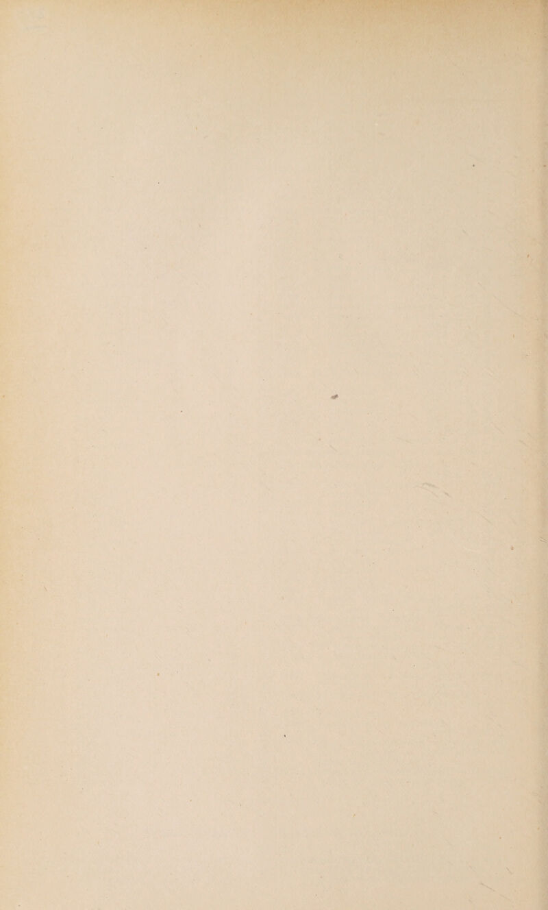 i l . -A r' , i k S. \ • • > A'^.i. V '■m ■ I ■ /♦'>•!'■ > I. ■/.'•' , \ 'j. BjUBH —'^' ' ^..1 • JV ^ i < (