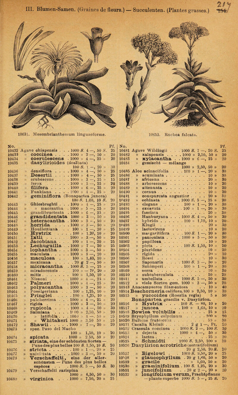 III. Blumen-Samen. (Graines de fleurs.) Succulenten. (Plantes grasses.) 10631. Mesembrianthemum llnguaeforme. 10653. Rocbea falcata. No. 10432 Agave chiapensis . . . 1000 s. 4 —, 50 S. 10433 )) coccinea . . . 1000 » 3 —, 50 » 10434 » coerulescens 1000 )) 4 —, 25 )i 10435 » dasylirioides (dealbata) 100 s. 1 20 » 10436 )) densiflora . . . 1000 » 4 —, 50 )) 10437 » Desertii . . . 1000 » 4 —, 50 » 10438 » erubescens . . . 1000 » 3 25 )) 10439 ,)) ferox . 1000 » 5 —, 25 » 10440 )) filifera .... 1000 » 6 —, 25 )) 10441 )J Funkiana . . . 1000 » 4 25 » 10442 » geminiflora (Bonapartea juncea) lOO s. 1,60, 10 5’. 10443 )) Ghiesbregbti . . 1000 )) 4 —, 25 )) 10444 )) » macrantlia 1000 )) 5 —, 25 )) 10445 )) grandibracteata 1000 » 6 —, 25 )) 10446 )) grandidentata 1000 )) 3 50 )) 10447 » heteracantha 1000 )) 3 -, 50 » 10448 )) horrida . . . 1000 »' 3 —, 50 » 10449 )) Houllettiana 100 » 1 —, 20 » 10450 )) Hystrix . . . . 100 » 1,20, 10 )) 10451 )) Ixtli. 1000 )) 3 —, 50 » 10452 )) Jacobiana . 100 » l —, 20 » 10453 ); Liechuguilla . 1000 » 7 —, 20 » 10454 )) lophantha . . 1000 » 3 —, 50 )) 10455 )) maculata .... 1000 » 8 —, 20 » 10456 )) maculosa . . 100 » 1,40, 10 » 10457 )) mexicana . . . . . 20 g 2 —, 50 )) 10458 micracantha 1000 s. 5 —, 25 » 10459 miradorensis . . 100 » - 70, 20 )) 10460 » mitis. 100 )) 1,50, 10 )) 10461 )) Nissoni .... 1000 » 4 —, 25 )) 10462 Palmeri 1000 » 4 —, 25 » 10463 » polyacantha 1000 )) 3 —, 50 )) 10464 )) Poselgeriana . . . 100 )) 1,25, 10 » 10465 » Pringlei ... . 100 » 1,25, 10 )) 10466 )) pulciierrima . . 1000 » 4 —, 25 )) 10467 )) rigida ... 1000 )) 3 —, 50 » 10468 )) rupicola . . 1000 M 4 —, 50 )) 10469 » Salmiana . . . . 1( 00 » 2,50, 50 » 10470 ); » latifolia . . 1000 4 —, 50 » 10471 )) » Whitakeri 1000 )) 3,50 50 » 10472 » Shawii. 1000 » 7 —, 20 )) 10473 » spec. Paso dei Macho 100 » 1,50, 10 » 10474 )) spicata . . . . 1000 » 2,50, 50 » 10475 » striata, eine der schonsten Sorten — Pune des plus belles 100 S. 1,50,10 S. 10476 stricta . . 100 » 1 —, 20 » 10477 » univiitata . . . . 1000 w 3 —, 50 » 10473 )) Verschafifelti, eine der aller- scbdnsteu — Pune des plus belles espfeces . . 1000 S. 5 —, 50 S. 10479 )) Verscbaffelti rarispina 1000 » 4,50, 50 )) Pf. No. Pf. 25 10481 Agave Wildingii . . 1000 S. 7 —, 20 S. 25 20 10482 » xalapensis . . . . 1000 » 2,50, 50 1000 » 6 —, 25 » 20 20 10483 xylacantha . )) 20 10484 )) gemischt — m^lange 30 1000 » 2,50, 50 » 20 25 10485 Aloe acinacifolia . . . 100 » 1 20 » 30 25 10486 » acuminata . . . . .10 » 30 15 10487 » af rica na . . . . . .20 )) 30 20 10488 » arborescens . . .10 » 20 20 10489 » attenuata . . . . .10 )) 20 20 10490 )) cernua. .10 » 20 10491 )> conspurcata angustior .... 20 » 30 20 10492 » echinata . . . . 1000 S. 5 —, 25 » 20 20 10493 )) elegans. . 100 » 1 —, 20 » 30 20 10494 )) excavata .... . 100 » 1 —, 20 )) 30 20 10495 )) fasciata . .20 » 30 20 10496 )) Hanburyana . . 1000 s. 4 —, 50 » 30 20 10497 » hybrida. . 100 )) 1,50, 10 )) 20 20 10498 )> Klugii. . 20 )) 30 25 10499 )J laetevirens . . .10 » 20 20 10500 )) margaritifera . . . 100 S. l —, 20 » 30 20 10501 » paniculata . . . 1000 » 5 —, 50 » 30 25 10502 )) papillosa .... .10 » 20 25 10503 » picta . . 100 s. 1,50, 10 » 20 20 10504 )) pluri dens . . . . .10 )) 20 20 10505 )) rigida. .2rt » 30 20 10506 )) Eossi. ..10 30 30 10507 )) Saponaria . . . 1000 S. 3 —, 50 » 20 20 10508 )) Schimperi .... . 100 » 1 —, 20 )) 30 20 10509 )) serra ...... ...... 10 » 30 20 10510 )) subtuberculata . .10 )) 20 20 10511 )) umbellata .... 1000 s. 5 —, 50 )) 30 20 10512 » viele Sorten gem. 1000 » 3 —, 50 » 20 20 10513 Anacampseros filamentosa . . 10 » 40 20 10514 Beschorneriacalifom. 100 » 2,50, 10 » 30 20 10515 » yuccoides (Koezlia regia) 5 » 50 20 Bonapartea gracilis V. Dasylirion. 20 10516 )) Hystrix ... 100 S. — 80, 10 » 20 30 10517 » juncea . . 100 » 1,60, 10 » 20 20 10518 Bowiea volubilis .25 » 15 25 10519 Bryophyllum calycinum.100 20 25 10520 Bulbine frutescens . . .50 )) 30 20 10521 Cacalia Kleinil . . . . . . 2 g 1 —, Pt. 1000 S'. 2 —, 100 S. 20 10522 Orassula coccinea . . 30 20 10523 )) dejecta .... 1000 » 4—, 50 )) 30 20 10524 )) lactea . .25 » 20 10525 )) Schmidti 1000 S. 2,50, 100 )) 30 20 10526 Dasylirion acrotriche (serratifolium) 25 20 g 2,50, 20 S. 20 20 10527 » Bigelowi . 1000 S. 9,50, 20 » 25 10528 )) glaucophyllum . 20 g l,60, 50 » 20 10529 » gracile . . » 1,60, 50 » 20 30 10530 )) gra minifolium . 100 S. 1,25, 20 )) 30 10531 » juncifolium . . 20 g 2 20 20 30 10532 » longifolium verum, Prachtpflanze