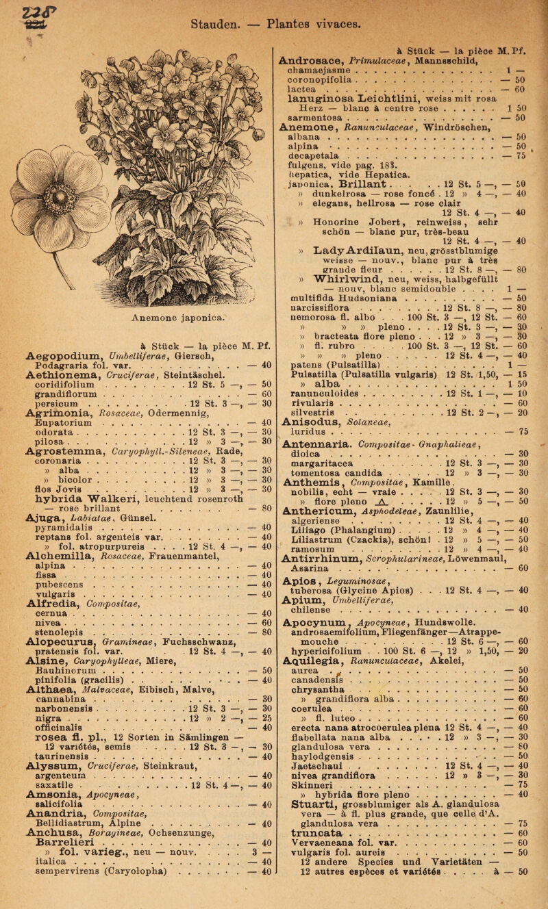 Z3<r Stauden. — Plantes vivaces Anemone Japonica. & Stiick — la pi§ce M. Pf. Aegropodium, Umbelliferae, Giersch, Podagraria fol. var.— 40 Aethionema, Cruciferae, Steintaschel. coridifolium.12 St. 5 —, — 50 grandiflorum.— 60 persicum.12 St. 3 —, — 30 Agrimonia, Rosaceae, Odermennig, Eupatoriam.— 40 odorata.12 St. 3 —, — 30 pilosa. ... 12 )) 3 —, — 30 Agrostemma, Caryophyll.-Sileneae, Eade, coronaria.12 St. 3 —, — 30 » alba.12 )) 3 —, — 30 » bicolor.12 » 3 —, — 30 flos Jovis.12 » 3 —, — 30 liybrida Walkeri, leuchtend rosenroth — rose brillant — 80 Ajuga, Labiatae, Giinsel. pyramidalis.— 40 reptans fol. argenteis var.— 40 » fol. atropurpureis . . . . 12 St. 4 —, — 40 Alcbemilla, Rosaceae, Erauenmantel, alpina.— 40 fissa.— 40 pubescens. — 40 vulgaris. — 40 Alfredia, Compositae, cernua.— 40 nivea.— 60 stenolepis.— 80 Alopecurus, Gramineae, Fuchsschwanz, pratensis fol. var. . 12 St. 4 —, — 40 Alsine, Caryophylleae, Miere, Bauhinorum.— 50 pinifolia (gracilis).• . . — 40 Althaea, Malvaceae, Eibisch, Malve, cannabina.— 30 narbonensis.12 St. 3 —, — 30 nigra.12 » 2 —, — 25 officinalis .— 40 rosea fl. pl., 12 Sorten in SSmlingen — 12 vari6t68, semis.12 St. 3 —, — 30 taurinensis.— 40 Alyssum, Cruciferae, Steinkraut, argenteum.— 40 saxatile.12 St. 4—, — 40 Amsonia, Apocyneae, salicifolia.— 40 Anandria, Compositae, Bellidiastrum, Alpine.— 40 Anchusa, Borayineae, Ochsenzunge, Barrelieri.— 40 )) fol. varieg., neu — nouv. .... 3 — italica. — 40 sempervirens (Caryolopha).• . — 40 h Stiick — la pifeoe M. Pf. Androsace, Primulaceae, Mannsschild, chamaejasme. 1 — coronopifolia.— 50 lactea.— 60 lanuginosa Leichtlini, weiss mit rosa Herz — blanc ii centre rose. 1 50 sarmentosa. — 50 Anemone, Ranunculaceae, ■Windroschen, albana.— 50 alpina •.— 50 decapetala.— 75 fulgens, vide pag. 183. hepatica, vide Hepatica. Japonica, Brillant.12 St. 5 —, — 50 » dunkelrosa — rose fonc6 . 12 » 4 —, — 40 » elegans, hellrosa — rose clair 12 St. 4 —, — 40 » Honorine Jobert, reinweiss, sebr Bchon — blanc pur, trfes-beau 12 St. 4 —, — 40 )) Lady Ardilaun, neu, grosstblumige weisse — nouv., blanc pur ii trfes grande fleur.12 St. 8 —, — 80 » Whirlwind, neu, weiss, halbgefiillt — nouv, blanc semidouble .... 1 — multifida Hudsoniana. — 50 uarcissiflora .12 St. 8 —, — 80 nemorosa fl. albo . • • 100 St. 3 —, 12 St. — 60 » )) )) pleno . . . . 12 St. 3 —, — 30 » bracteata flore pleno ... 12 » 3 —, — 30 » fl. rubro.100 St. 3 —, 12 St. — 60 » » » pleno.12 St. 4 —, — 40 patens (Pulsatilla). 1 — Pulsatiila (Pulsatilla vulgaris) 12 St. 1,50, — 15 » alba. 1 50 ranunculoides.12 St. 1 —, — 10 rivularis.— 60 silvestris.12 St. 2 —, — 20 Anisodus, Solaneae, luridus.— 75 Antennaria. Compositae - Gnaphalieae, dioica.— 30 margaritacea.12 St. 3 —, — 30 tomentosa candida.12 »3 —, — 30 Anthemis, Compositae, Eamille, nobilis, echt — vraie.12 St. 3 —, — 30 » flore pleno _A. 12 » 5 —, — 50 Anthericum, Asphodeleae, Zaunlilie, algeriense.12 St. 4 —, — 40 Liiiago (Phalangium).12 » 4 —, — 40 Liliastrum (Czackia), schont .12 » 5 —, — 50 ramosum .12 » 4 —, — 40 Antirrhinum, Scrophularineae, Lowenmaul, Asarina. — 60 ApiOS, Leguminosae, tuberosa (Glycine Apios) Apium, Umbelliferae, chilense. . . 12 St. 4 —, — 40 . ... — 40 Apocynum, Apocyneae, Hundswolle. andro saemifolium, Eliegenf anger —Atrappe- mouche.12 St. 6 —, — 60 hypericifolium . . 100 St. 6 —, 12 » 1>50, — 20 Aquilegia, Ranunculaceae, Akelei, aurea . ^.— 50 canadensis.— 50 chrysantha.— 50 » grandiflora alba.— 60 coerulea.— 60 » fl. luteo.— 60 erecta nana atrocoerulea plena 12 St. 4 —, — 40 flabellata nana alba . . . • .12 » 3 —, — 30 glandulosa vera.— 80 haylodgensis.• . . — 50 Jaetschaui.12 St. 4 —, — 40 nivea grandiflora.12 » 3 —, — 30 Skinneri. — 75 » hybrida flore pleno.— 40 Stuarti, grossblumiger ais A. glandulosa vera — fl. plus grande, que celle d’A. glandulosa vera.— 75 truncata.— 60 Vervaeneana fol. var.— 60 vulgaris fol. aureis .— 50 12 andere Species und VarietSten — 12 autres esp^ces et vari4t6s.ii — 50