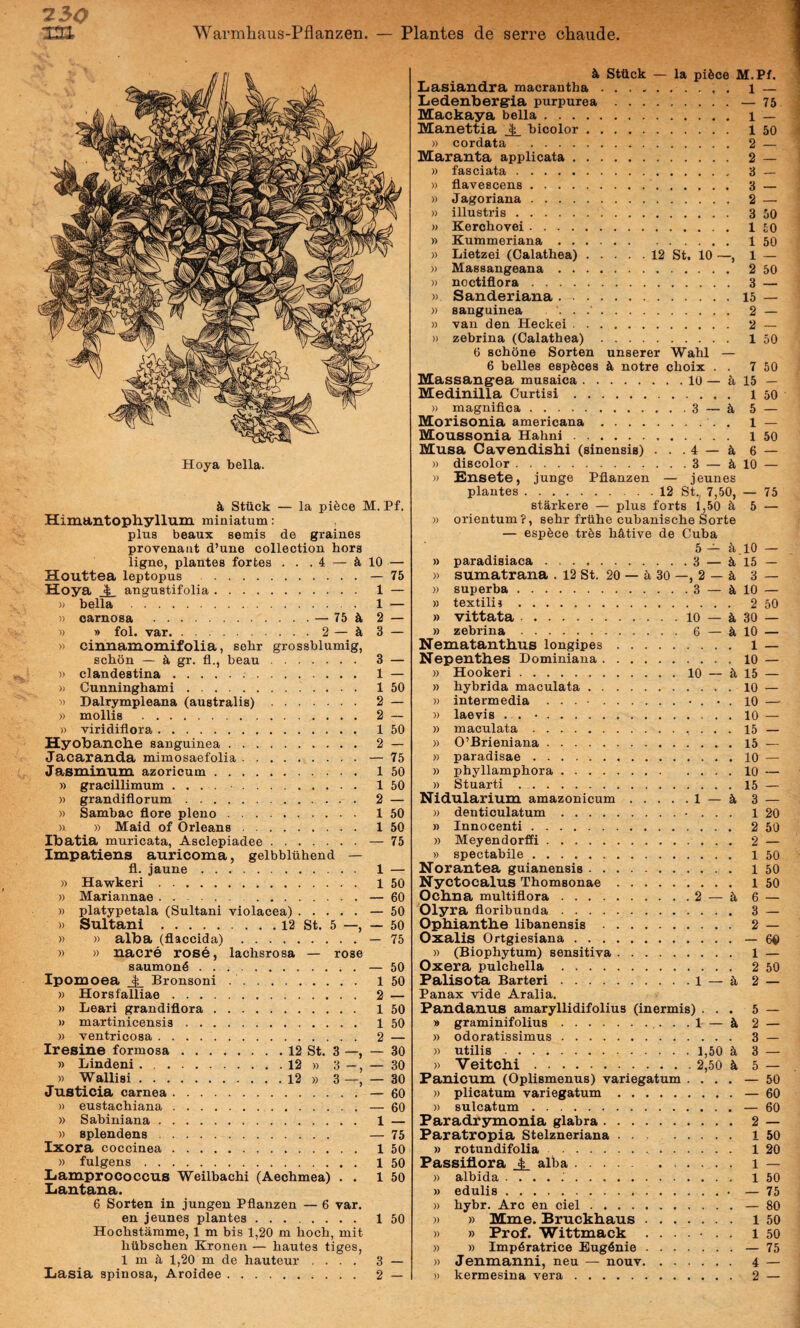230 Warmhaus-Pflanzen. — Plantes de serre chaude. Hoya bella. k Stttck — la pi^ce M. Pf. Himantopliyllum miniatum: plus beaux semis de graines provenaiit d’une collection hors ligne, plantes fortes . . .4 — 10 — Houttea leptopus .— 75 Hoya JL angustifolia. 1 — )) bella. 1 ^— » carnosa .— 75 & 2 — 1) » fol. var.2 — k 3 — » cinnamomifolia, sebr grossblumig, scbon — k gr. fl., beau. 3 — » clandestina. 1 — )) Cunninghami. 1 50 « Dalrympleana (australis). 2 — » mollis . 2 — K viridiflora. 1 50 Hyobanclie sanguinea. 2 — Jacarauda mimosaefolia.— 75 Jasminum azorioum. 1 50 » gracillimum .... . 1 50 )) grandiflorum. 2 — )) Sambac flore pleno. 1 50 » » Maid of Orleans. 1 50 Ibatia muricata, Asclepiadee.— 75 Impatiens auricoma, gelbbliihend — fl. jaune. 1 — )) Hawkeri. 1 50 » Mariannae..— 60 » platypetala (Sultani violacea).— 50 » Sultani.12 St. 5 — 50 » » alba (flaccida).— 75 )) » nacre rose, lachsrosa — rose saumond.— 50 Ipomoea ^ Bronsoni .. 1 50 » Horsfalliae. 2 — » Leari grandiflora. 1 50 » martinicensis. 1 50 » ventricosa .. 2 — Iresine formosa.12 St. 3 — 30 Justicia carnea.— 60 )) eustacbiana. — 60 » Sabini ana. 1 — » splendens. — 75 Ixora coccinea. 1 50 » fulgens. 1 50 Liamproooccus Weilbachi (Aechmea) . . 1 50 Liautaua. 6 Sorten in jungen Pflanzen — 6 var. en jeunes plantes. 1 50 Hocbstamme, 1 m bis 1,20 m hoch, mit hiibschen Kronen — bautes tiges, 1 m 5, 1,20 m de hauteur .... 3 — Lasia spinosa, Aroidee. 2 — k Stflck — la pi6ce M.Pf. Lasiandra macrantha. i — Ledenberg'ia purpurea.— 75 Mackaya bella. i — Manettia ^ bicolor. i 50 » cordata . 2 — Maranta applicata. 2 — )) fasciata. 3 — » flavescens. 3 — » Jagoriana. 2 — » illustris. 3 50 » Kerchovei. 1£0 » Kummeriana. 1 50 » Lietzei (Calathea).12 St. 10 —, 1 — » Massangeana. 2 50 )) noctiflora. 3 — » Sanderiana.15 — )) sanguinea '. . .’. 2 — )) van den Heckei. 2 — » zebrina (Calathea). 1 50 6 schone Sorten unserer Wahl — 6 belles esp6ces notre choix . . 7 50 Massangea musaica.10 — 5, 15 — Medinilla Curtisi. i 50 » magnifica.3 — 5. 5 — Morisonia americana.. . 1 — Moussonia Hahni. i 50 Musa Cavendisbi (sinensis) . . . 4 — k 6 — » discolor.3 — ^10 — » £2nsete, junge Pflanzen — jeunes plantes.12 St., 7,50, — 75 starkere — plus forts 1,50 ^ 5 — » orientum?, sebr friihe cubanische Sorte — esp^ce tr^s bative de Cuba 5 — k_lO — » paradisiaca.3 — ^ 15 — » sumatrana . 12 st. 20 — 5, 30 —, 2 — 3 — » superba.3 — 10 — » textilis. 2 50 » vittata. 10 — 30 — » zebrina. 6 — 10 — Nematantbus longipes. l — Nepentbes Dominiana.10 — » Hookeri.10 — ^15 — » hybrida maculata.10 — » intermedia ..• . • . 10 — » laevis . . •.10 — » maculata. 15 — )) 0’Brieniana.15 — » paradisae.10 — » phyllampbora.10 — » Stuarti.15 — Nidularium amazonicum.i — ^ 3 — » denticulatum. 1 20 » Innocenti. 2 50 )) Meyendorffi. 2 — » spectabile. i 50 Norantea guianensis. 1 50 Nyctocalus Tbomsonae. 1 50 Ocbna multiflora.2 — 5. 6 — Olyra floribunda. 3 — Opbiautbe libanensis. 2 — Oxalis Ortgiesiana.— 60 » (Biopbytum) sensitiva. 1 — Oxera pulchella. 2 50 Falisota Barteri.1 — k 2 — Panax vide Aralia. Pandanus amaryllidifolius (inermis) ... 5 — » graminifolius....1 — 2 — » odoralissimus. 3 — » utilis.1,50 3 — » Veitcbi.2,50 k 5 — Panicum (Oplismenus) variegatum .... — 50 » plicatum variegatum.— 60 » sulcatum.— 60 Paradrymonia glabra. 2 — Paratropia Stelzneriana .. l 50 » rotundifolia. 1 20 Passiflora JL alba. 1 — » albida .....'. 1 50 » edulis. — 75 » bybr. Arc en ciel.— 80 )) » Mme. Bruckbaus. 1 50 )) » Prof. Wittmack ...... 1 50 » » Impdratrice Eug6nie.— 75 )) Jenmanni, neu — nouv. 4 — » kermesina vera. 2 —