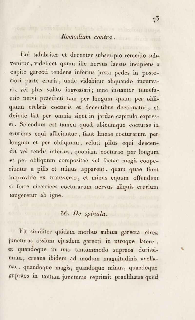 Cui salubriter et decenter subscripto remedio sub^ venitur, videlicet quum ille nervus laesus incipiens a capite garecti tendens inferius juxta pedes in poste¬ riori parte cruris, unde videbitur aliquando incurva¬ ri», vel plus solito ingrossari; tunc instanter tumefa- clio nervi praedicti tam per longum quam per obli¬ quum crebris cocturis et decentibus decoquatur, et deinde fiat per omnia sicut in jardae capitulo expres¬ si . Sciendum est tamen quod ubicumque cocturae iti cruribus equi afficiuntur , fiant lineae cocturarum per longum et per obliquum, veluti pilus equi descen¬ dit vel tendit inferius, quoniam cocturae per longum et per obliquum compositae vel factae magis coope¬ riuntur a pilis et minus apparent, quam quae fiunt improvide ex transverso, et minus equum offendent si forte cicatrices cocturarum nervus aliquis cruriuiu tangeretur ab igne. 56. De spinula. Fit similiter quidam morbus subtus garecta circa juncturas ossium ejusdem garecti in utroque latere , et quandoque in uno tantummodo supraos durissi¬ mum , creans ibidem ad modum magnitudinis avella¬ nae, quandoque magis, quandoque minus, quandoque supraos in tantum juncturas reprimit praelibaias qucd