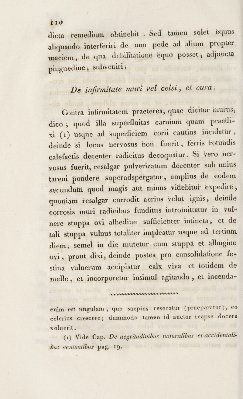 dicta remedium obtinebit . Sed tamen solet equtis aliquando interferiri de uno pede ad alium propter maciem, de qua debilitatione 'equo posset •, adjuncta pinguedine, subveniri * itiJivniitcLtc muri vel celsi 3, et cuiu^ Gontra infirmitatem praeterea^ quae dicitur muius^ dico quod illa superfluitas carnium quam praedi¬ xi (1) usque ad superficiem corii cautius incidatiir ^ deinde si locus nervosus non fuerit, ferris rotundis calefactis decenter radicitus decoquatur. Si vero ner¬ vosus fuerit, resalgar pulverizatum decenter sub unius tareni pondere superadspergatur, amplius de eodem secundum quod magis aut minus videbitui’ expedire^ quoniani resalgar corrodit acrius velut igiiis, deiilde corrosis muri radicibus funditus intromittatur in vul-* nere stuppa ovi albedioe sufficienter intincta^ et de tali stnppa vulnus totaliter implealUr usque ad lerlmm diem, semel in die mutetur cum stuppa et albugine oyi, prout dixi, deinde postea pro consolidatione fe¬ stina vulnerum accipiatur calx viva et totidem de meile , et incorporetur insimul agitando , et incenda- «»nlm est ungulam ^ quo saepius resecatur (praeparatur)^ eo celerius crescere) dummodo tamen id auctor reapse docere ■voluerit. (i) Vide Cap. De aegritudinibus naturalibus et accidentah- hus vementibus pag» ^9*