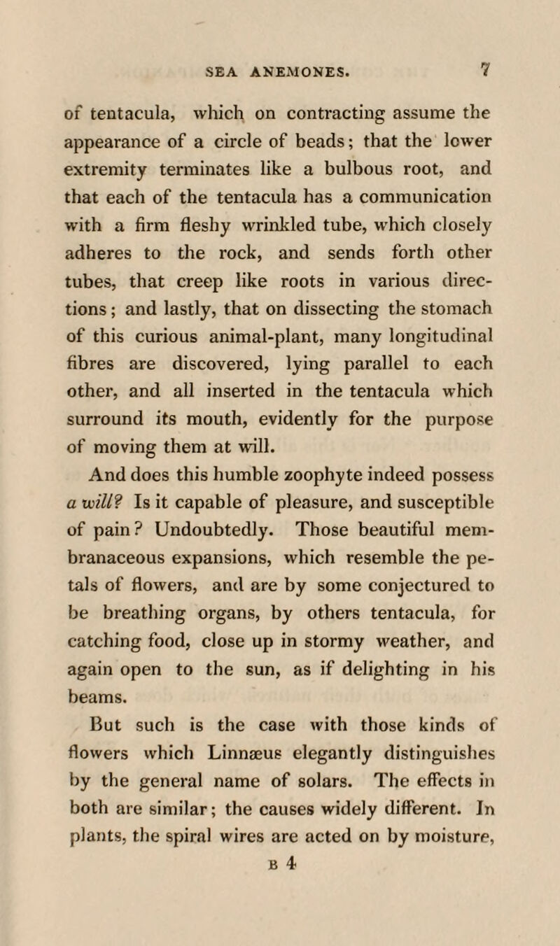 of tentacula, which on contracting assume the appearance of a circle of beads; that the lower extremity terminates like a bulbous root, and that each of the tentacula has a communication with a firm fleshy wrinkled tube, which closely adheres to the rock, and sends forth other tubes, that creep like roots in various direc¬ tions ; and lastly, that on dissecting the stomach of this curious animal-plant, many longitudinal fibres are discovered, lying parallel to each other, and all inserted in the tentacula which surround its mouth, evidently for the purpose of moving them at will. And does this humble zoophyte indeed possess a voill? Is it capable of pleasure, and susceptible of pain? Undoubtedly. Those beautiful mem¬ branaceous expansions, which resemble the pe¬ tals of flowers, and are by some conjectured to be breathing organs, by others tentacula, for catching food, close up in stormy weather, and again open to the sun, as if delighting in his beams. But such is the case with those kinds of flowers which Linnaeus elegantly distinguishes by the general name of solars. The effects in both are similar; the causes widely different. In plants, the spiral wires are acted on by moisture,