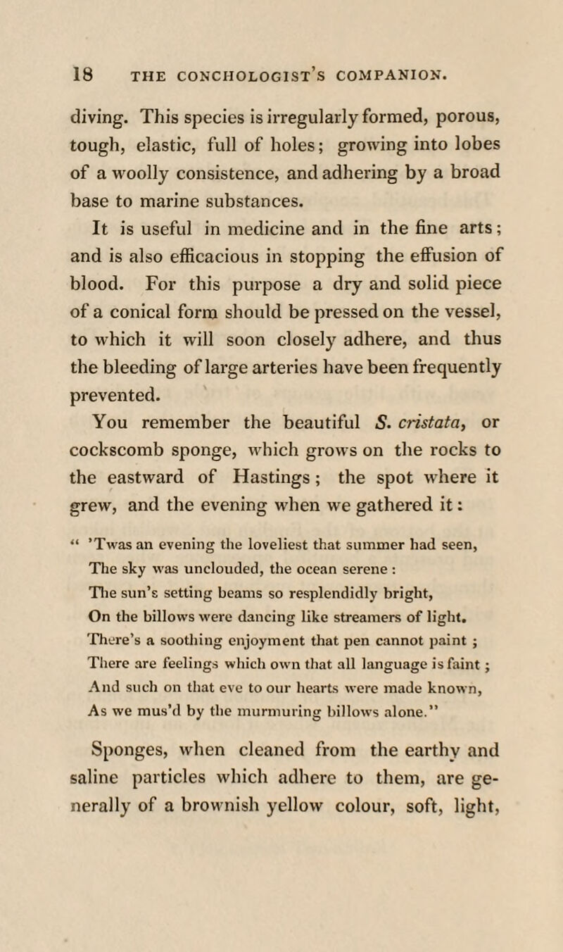 diving. This species is irregularly formed, porous, tough, elastic, full of holes; growing into lobes of a woolly consistence, and adhering by a broad base to marine substances. It is useful in medicine and in the fine arts; and is also efficacious in stopping the effusion of blood. For this purpose a dry and solid piece of a conical form should be pressed on the vessel, to which it will soon closely adhere, and thus the bleeding of large arteries have been frequently prevented. You remember the beautiful 5. cristata, or cockscomb sponge, which grows on the rocks to the eastward of Hastings; the spot where it grew, and the evening when we gathered it: “ ’Twas an evening the loveliest that summer had seen, The sky was unclouded, the ocean serene : Tlie sun’s setting beams so resplendidly bright, On the billows were dancing like streamers of light. There’s a soothing enjoyment that pen cannot paint ; There are feelings which own that all language is faint; And such on that eve to our hearts were made known, As we mus’d by the murmuring billows .alone.” Sponges, when cleaned from the earthy and saline particles which adhere to them, are ge¬ nerally of a brownish yellow colour, soft, light.