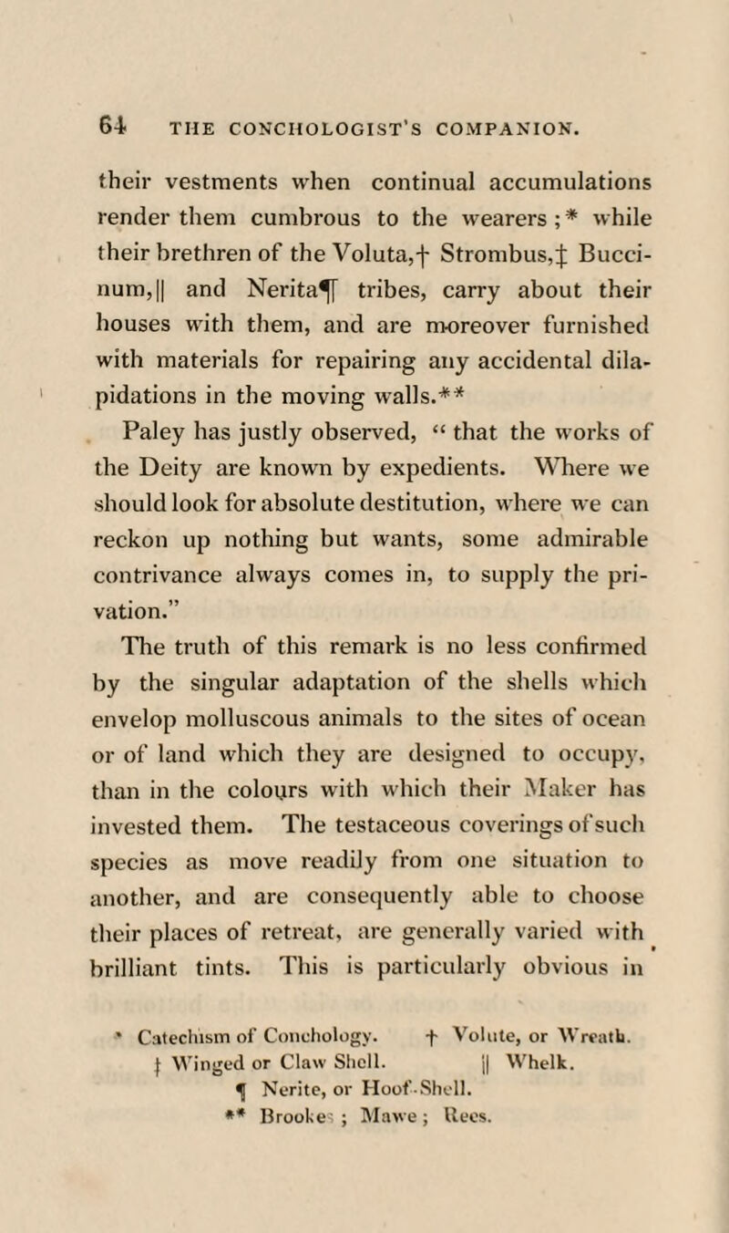 their vestments when continual accumulations render them cumbrous to the wearers ; * while their brethren of the Voluta,-|- Strombus,:}; Bucci- num,|| and Nerita^ tribes, carry about their houses with them, and are moreover furnished with materials for repairing any accidental dila¬ pidations in the moving walls.** Paley has justly observed, “ that the works of the Deity are known by expedients. Where we should look for absolute destitution, where we can reckon up nothing but wants, some admirable contrivance always comes in, to supply the pri¬ vation.” The truth of this remark is no less confirmed by the singular adaptation of the shells which envelop molluscous animals to the sites of ocean or of land which they are designed to occupy, than in the colours with which their Maker has invested them. The testaceous coverings of such species as move readily from one situation to another, and are consequently able to choose their places of retreat, are generally varied with brilliant tints. This is particularly obvious in * Catechism of Conchology. -t Volute, or Vreath. f Winged or Claw Shell. j| Whelk. ^ Ncrite, or Hoof.Shell. •* Brooke’ ; Mawe; Uecs.