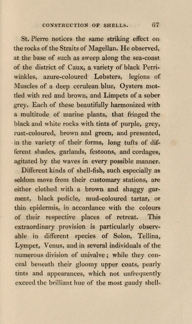 St. Pierre notices the same striking effect on the rocks of the Straits of Magellan. He observed, at the base of such as sweep along the sea-coast of the district of Caux, a variety of black Perri- winkles, azure-coloured Lobsters, legions of Muscles of a deep cerulean blue, Oysters mot¬ tled with red and brown, and Limpets of a sober grey. Each of these beautifully harmonized with a multitude of marine plants, that fringed the black and white rocks with tints of purple, grey, rust-coloured, brown and green, and presented, in the variety of their forms, long tufts of dif¬ ferent shades, garlands, festoons, and cordages, agitated by the waves in every possible manner. Different kinds of shell-fish, such especially as seldom move from their customary stations, are either clothed with a brown and shaggy gar¬ ment, black pedicle, mud-coloured tartar, or thin epidermis, in accordance with the colours of their respective places of retreat. This extraordinary provision is particularly observ¬ able in different species of Solon, Tellina, Lympet, Venus, and in several individuals of the numerous division of univalve; while they con¬ ceal beneath their gloomy upper coats, pearly tints and appearances, which not unfrequently exceed the brilliant hue of the most gaudy shell-
