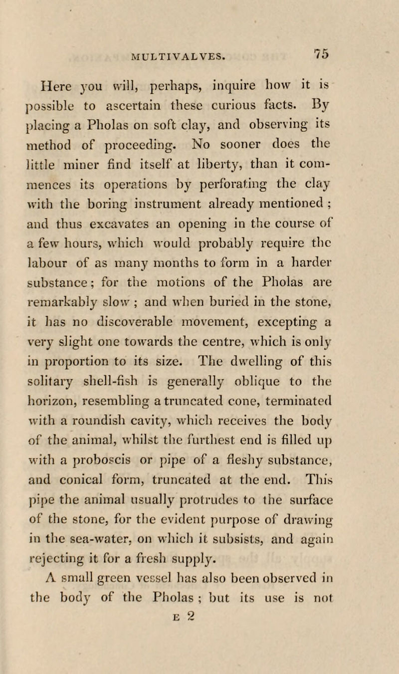 Here you will, perhaps, inquire how it is possible to ascertain these curious facts. B)'’ placing a Pholas on soft clay, and observing its method of proceeding. No sooner does the little miner find itself at liberty, than it com¬ mences its operations by perforating the clay with the boring instrument already mentioned ; and thus excavates an opening in the course of a few hours, which would probably require the labour of as many months to form in a harder substance; for the motions of the Pholas are remarkably slow ; and when buried in the stone, it has no discoverable movement, excepting a very slight one towards the centre, which is only in proportion to its size. The dwelling of this solitary shell-fish is generally oblique to the horizon, resembling a truncated cone, terminated with a roundish cavity, which receives the body of the animal, whilst the furthest end is filled up with a proboscis or pipe of a fleshy substance, and conical form, truncated at the end. This pipe the animal usually protrudes to the surface of the stone, for the evident purpose of drawing in the sea-water, on which it subsists, and again rejecting it for a fresh supply. A small green vessel has also been observed in the body of the Pholas ; but its use is not E 2