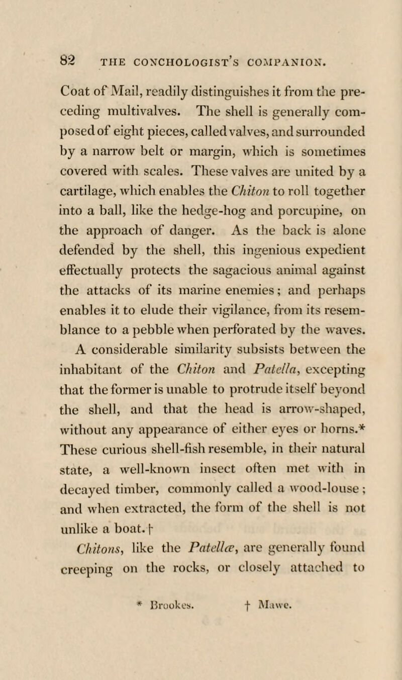 Coat of Mail, readily distinguishes it from the pre¬ ceding multivalves. The shell is generally com¬ posed of eight pieces, called valves, and surrounded by a narrow belt or margin, which is sometimes covered with scales. These valves are united by a cartilage, which enables the Chiton to roll together into a ball, like the hedge-hog and porcupine, on the approach of danger. As the back is alone defended by the shell, this ingenious expedient effectually protects the sagacious animal against the attacks of its marine enemies; and perhaps enables it to elude their vigilance, from its resem¬ blance to a pebble when perforated by the waves. A considerable similarity subsists between the inhabitant of the Chiton and Patella, excepting that theformer is unable to protrude itself beyond the shell, and that the head is arrow-shaped, without any appearance of either eyes or horns.* These cui-ious shell-fish resemble, in their natural state, a well-known insect often met with in decayed timber, commonly called a wood-louse ; and when extracted, the form of the shell is not unlike a boat. I- Chitons, like the Patellcc, are generally found creeping on the rocks, or closely attached to • Hruokes. f RIawc.