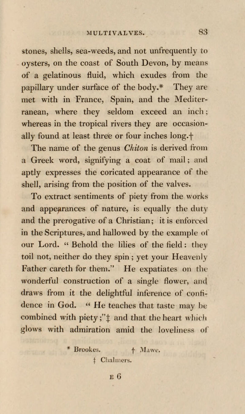 stones, shells, sea-weeds, and not unfrequently to oysters, on the coast of South Devon, by means of a gelatinous fluid, which exudes from the papillary under surface of the body.* They are met with in France, Spain, and the Mediter¬ ranean, where they seldom exceed an inch; whereas in the tropical rivers they are occasion¬ ally found at least three or four inches long.f The name of the genus Chiton is derived from a Greek word, signifying a coat of mail; and aptly expresses the coricated appearance of the shell, arising from the position of the valves. To extract sentiments of piety from the works and appearances of nature, is equally the duty and the prerogative of a Christian; it is enforced in the Scriptures, and hallowed by the example oi' our Lord. “ Behold the lilies of the field: they toil not, neither do they spin; yet your Heavenly Father careth for them.” He expatiates on tlie wonderful construction of a single flower, and draws from it the delightful inference of confi¬ dence in God. “ He teaches that taste may be combined with piety and that the heart which glows with admiration amid the loveliness of * Brookus. f Mawf. f Clialnicrs.