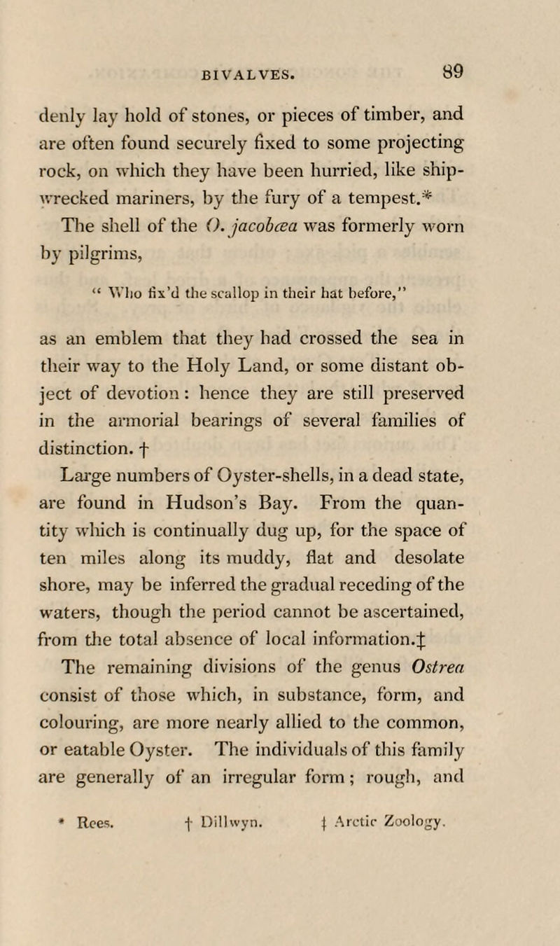 denly lay hold of stones, or pieces of timber, and are often found securely fixed to some projecting rock, on which they have been hurried, like ship¬ wrecked mariners, by the fury of a tempest.* The shell of the (). jacobcea was formerly worn by pilgrims, “ Vt’lio fix’d the scallop in their hat before,” as an emblem that they had crossed the sea in their way to the Holy Land, or some distant ob¬ ject of devotion: hence they are still preserved in the armorial bearings of several families of distinction, f Lai'ge numbers of Oyster-shells, in a dead state, are found in Hudson’s Bay. From the quan¬ tity wliich is continually dug up, for the space of ten miles along its muddy, flat and desolate shore, may be inferred the gradual receding of the waters, though the period cannot be ascertained, from tlie total absence of local information.;}: The remaining divisions of the genus Ostren consist of those which, in substance, form, and colouring, are more nearly allied to the common, or eatable Oyster. The individuals of this family are generally of an irregular form; rough, and