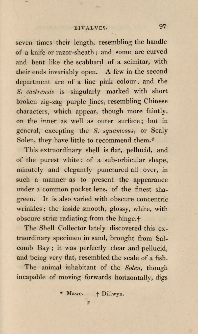 seven times their length, resembling the handle of a knife or razor-sheath; and some are curved and bent like the scabbard of a scimitar, with their ends invariably open. A few in the second department are of a fine pink colour; and the S. castrensis is singularly marked with short broken zig-zag purple lines, resembling Chinese characters, which appear, though more faintly, on the inner as well as outer surface; but in general, excepting the S. squamosus, or Scaly Solen, the)”^ have little to recommend them.* This extraordinary shell is flat, pellucid, and of the purest white; of a sub-orbicular shape, minutely and elegantly punctured all over, in such a manner as to present the appearance under a common pocket lens, of the finest sha¬ green. It is also varied with obscure concentric wrinkles; the inside smooth, glossy, white, with obscure striae radiating from the hinge.f The Shell Collector lately discovered this ex¬ traordinary specimen in sand, brought from Sal- comb Bay ; it was perfectly clear and pellucid, and being very flat, resembled the scale of a fish. The animal inhabitant of the Solen, though incapable of moving forwards horizontally, digs * Mawe. f Dillwyn. F
