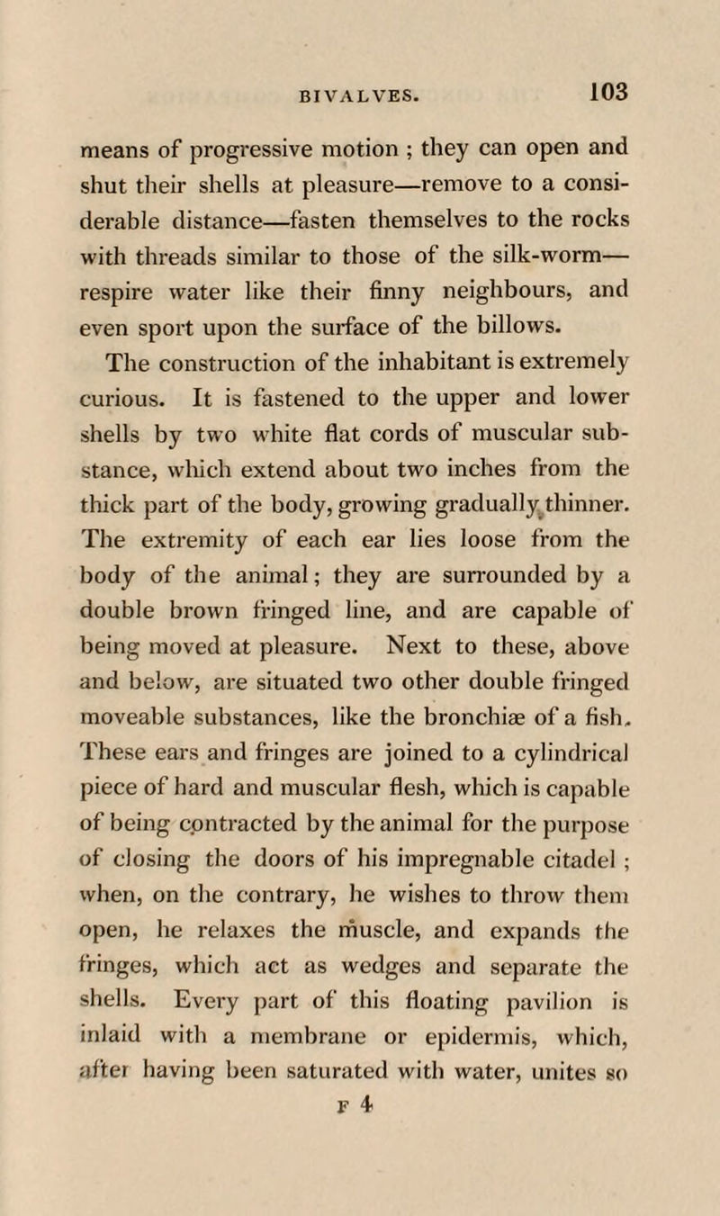 means of progressive motion ; they can open and shut their shells at pleasure—remove to a consi¬ derable distance—fasten themselves to the rocks with threads similar to those of the silk-worm— respire water like their finny neighbours, and even sport upon the surface of the billows. The construction of the inhabitant is extremely curious. It is fastened to the upper and lower shells by two white flat cords of muscular sub¬ stance, which extend about two inches from the thick part of the body, growing gradually^thinner. The extremity of each ear lies loose from the body of the animal; they are surrounded by a double brown fringed line, and are capable of being moved at pleasure. Next to these, above and below, are situated two other double fringed moveable substances, like the bronchiae of a fish. These ears and fringes are joined to a cylindrical piece of hard and muscular flesh, which is capable of being contracted by the animal for the purpose of closing the doors of his impregnable citadel ; when, on the contrary, he wishes to throw them open, he relaxes the muscle, and expands the fringes, which act as wedges and separate the shells. Every part of this floating pavilion is inlaid with a membrane or epidermis, which, after having been saturated with water, unites so F 'I
